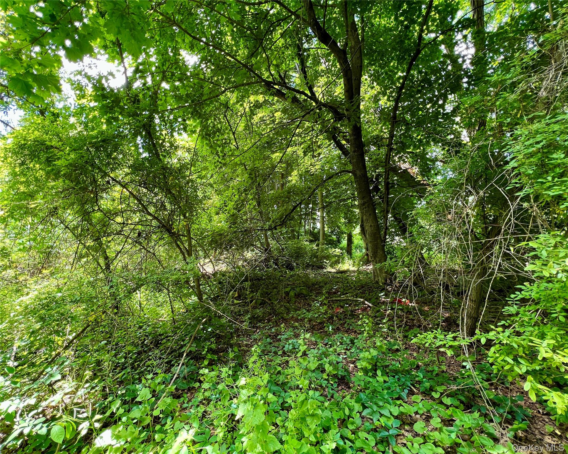 00 Baldwin Place Road – For Sale photo 2