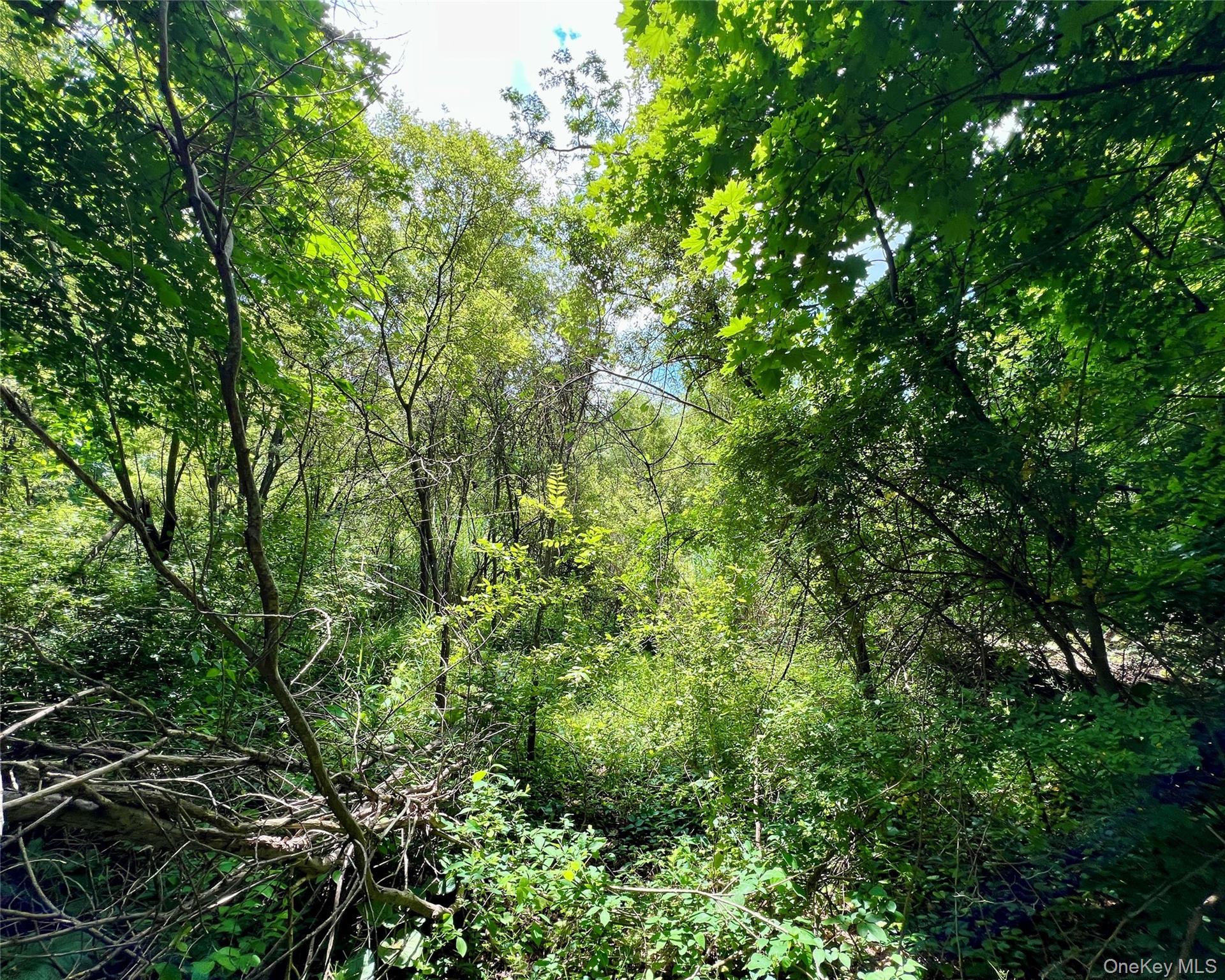 00 Baldwin Place Road – For Sale photo 3