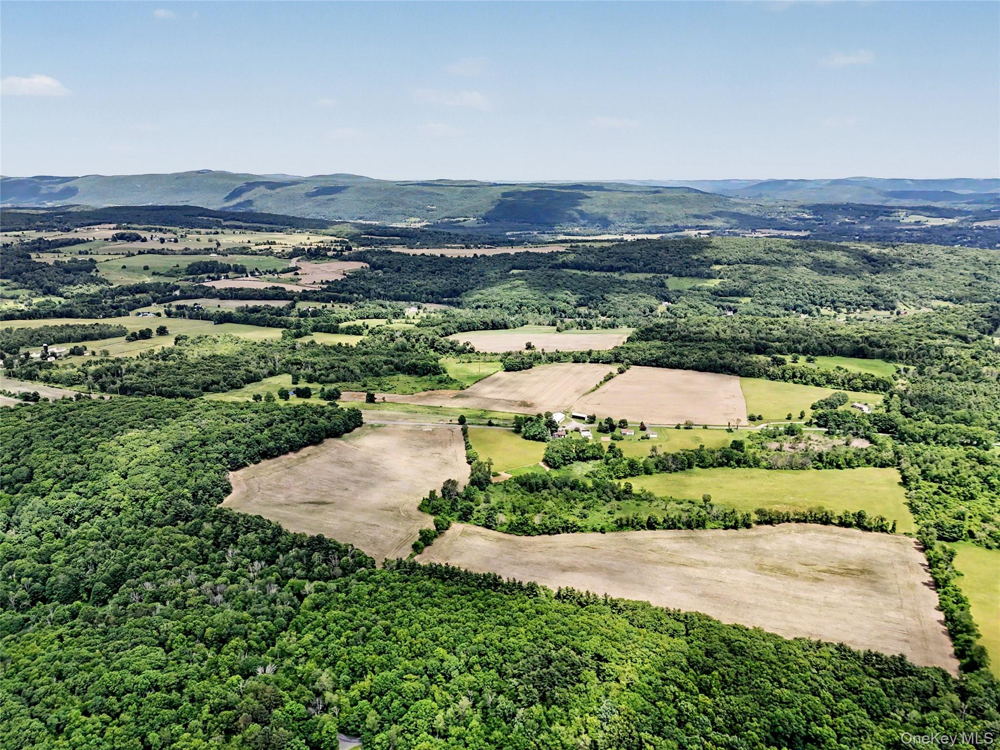 317 Skunks Misery Road – For Sale