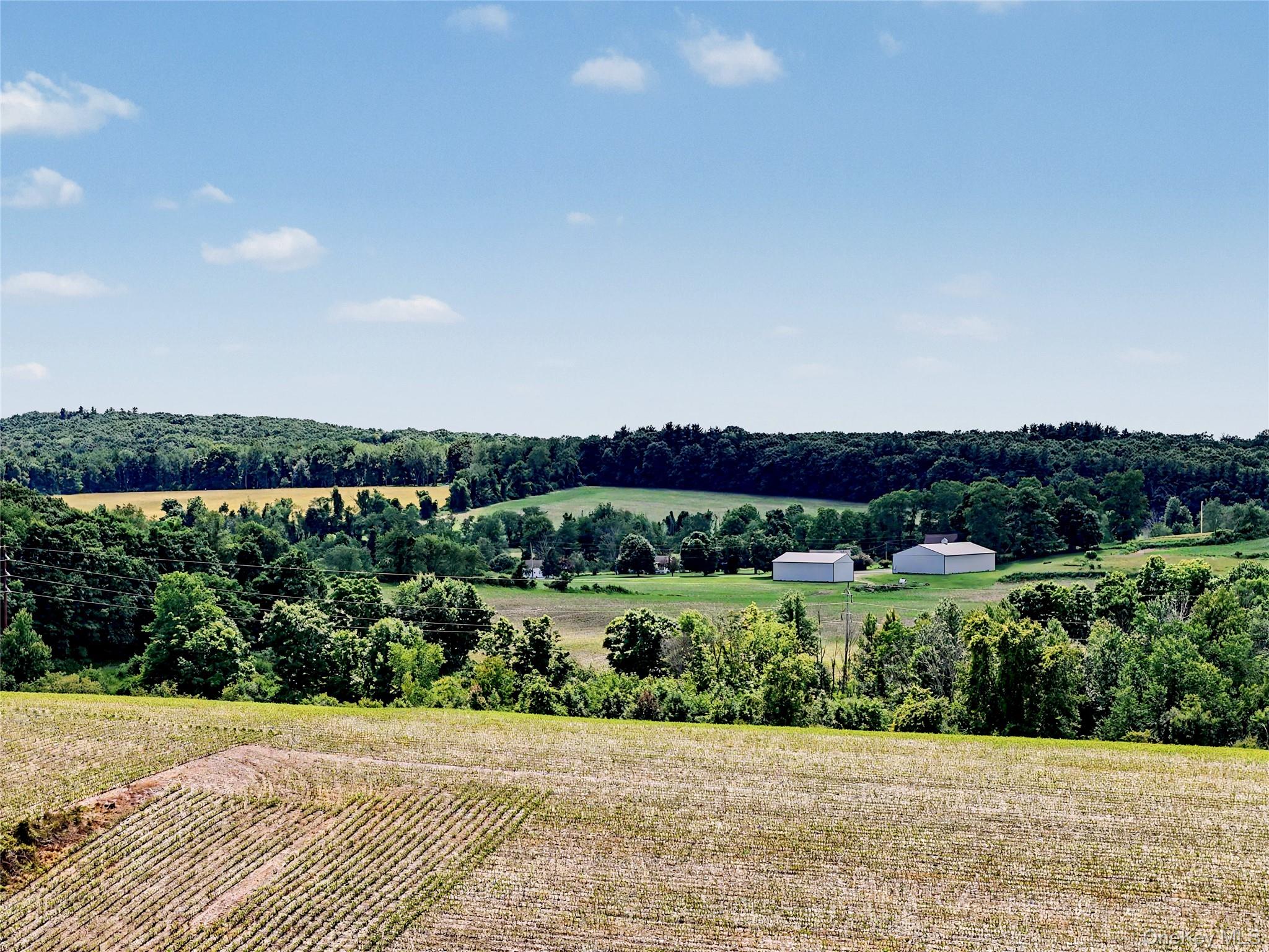 317 Skunks Misery Road – For Sale photo 6