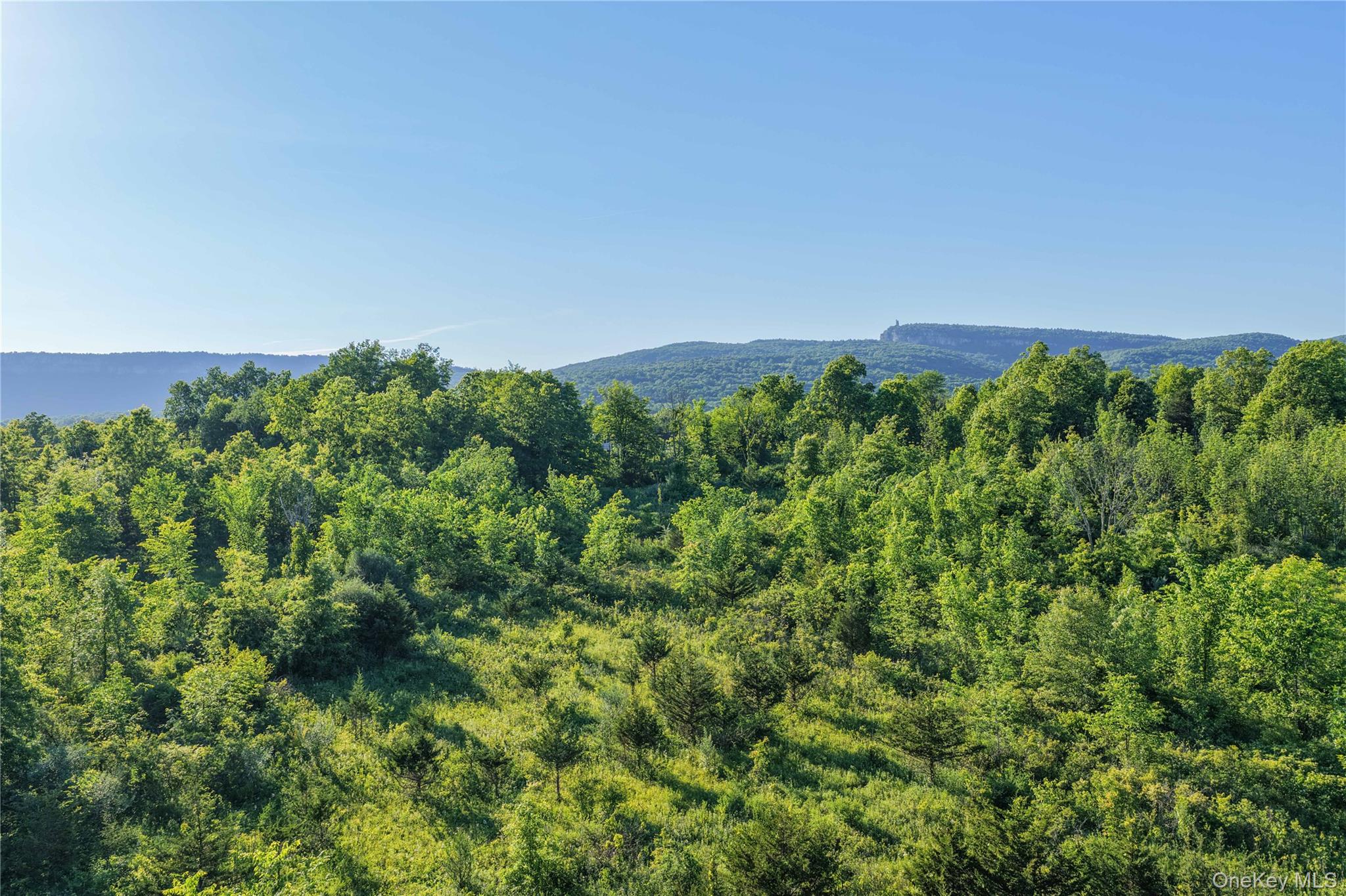 561 Albany Post Road – For Sale photo 8