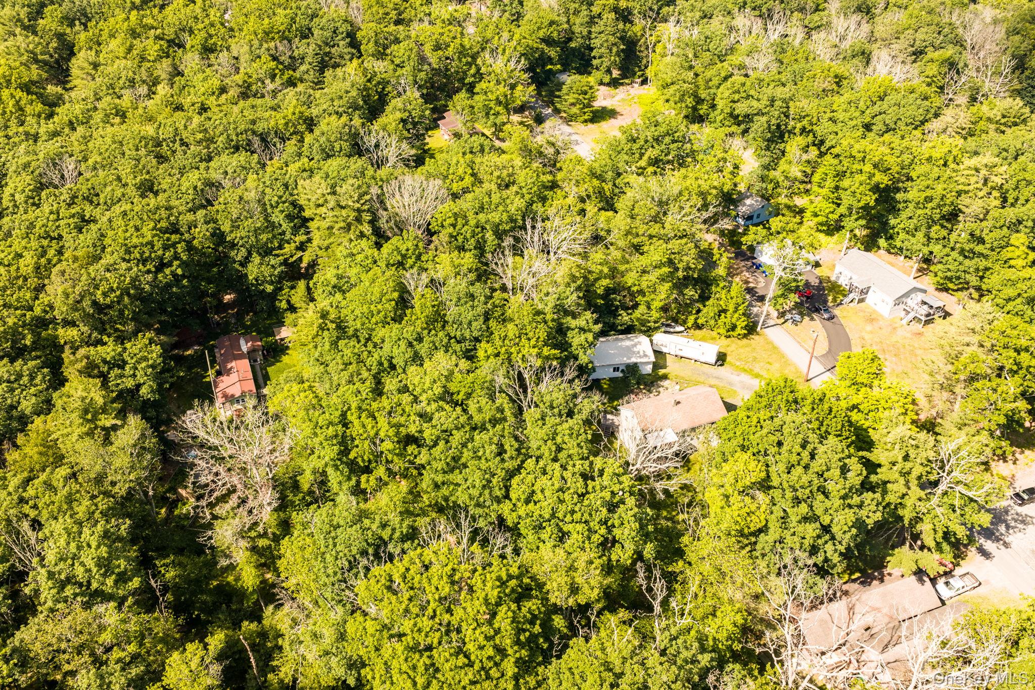 13 Oneida Trail – For Sale photo 14