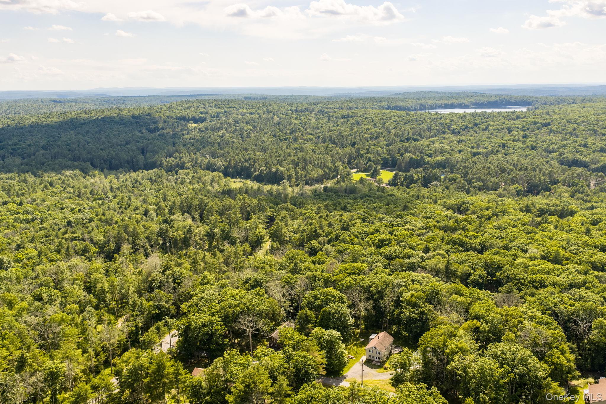 13 Oneida Trail – For Sale photo 7