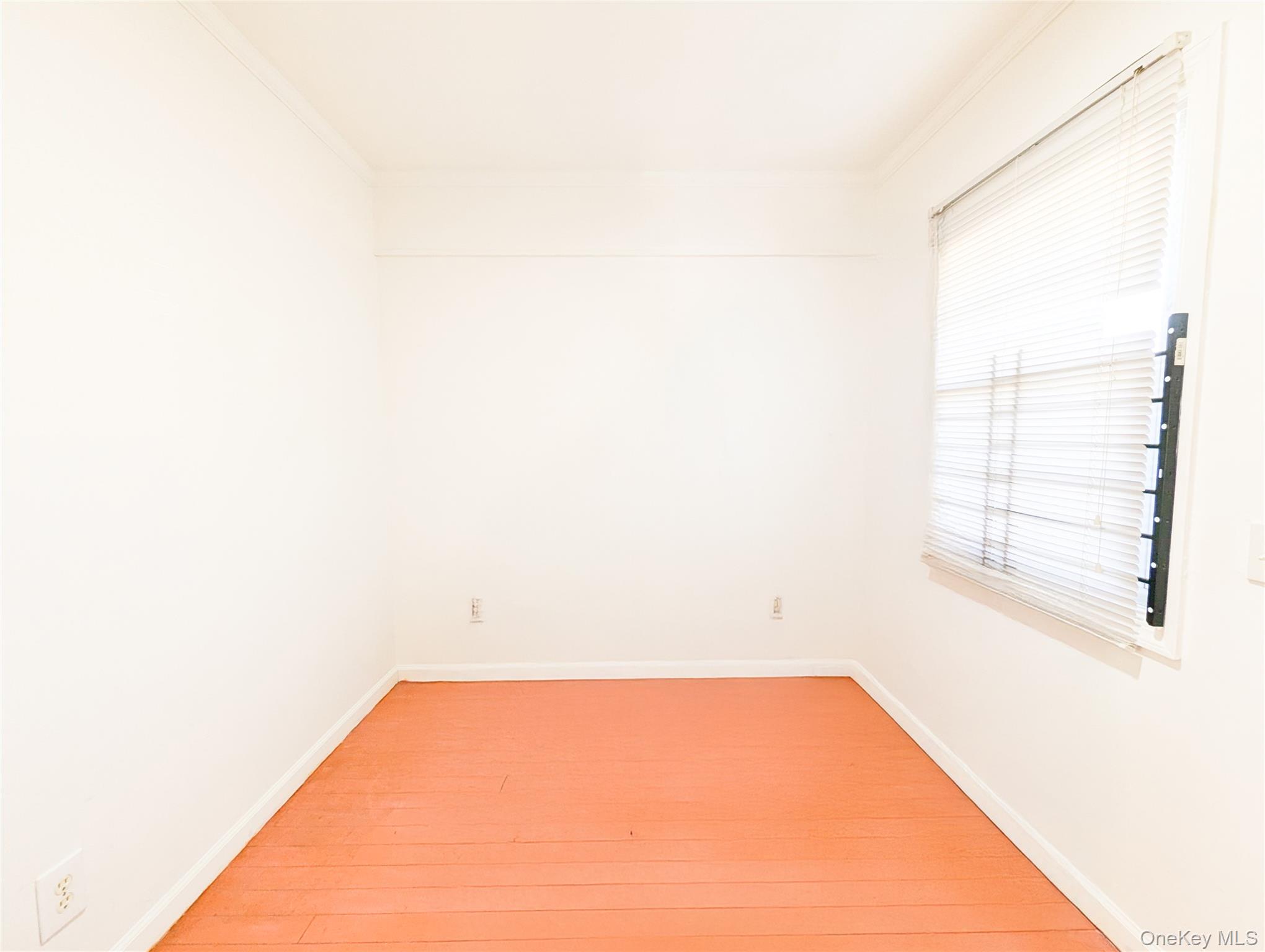 806 Oliver Avenue, Unit 1 Floor photo 7