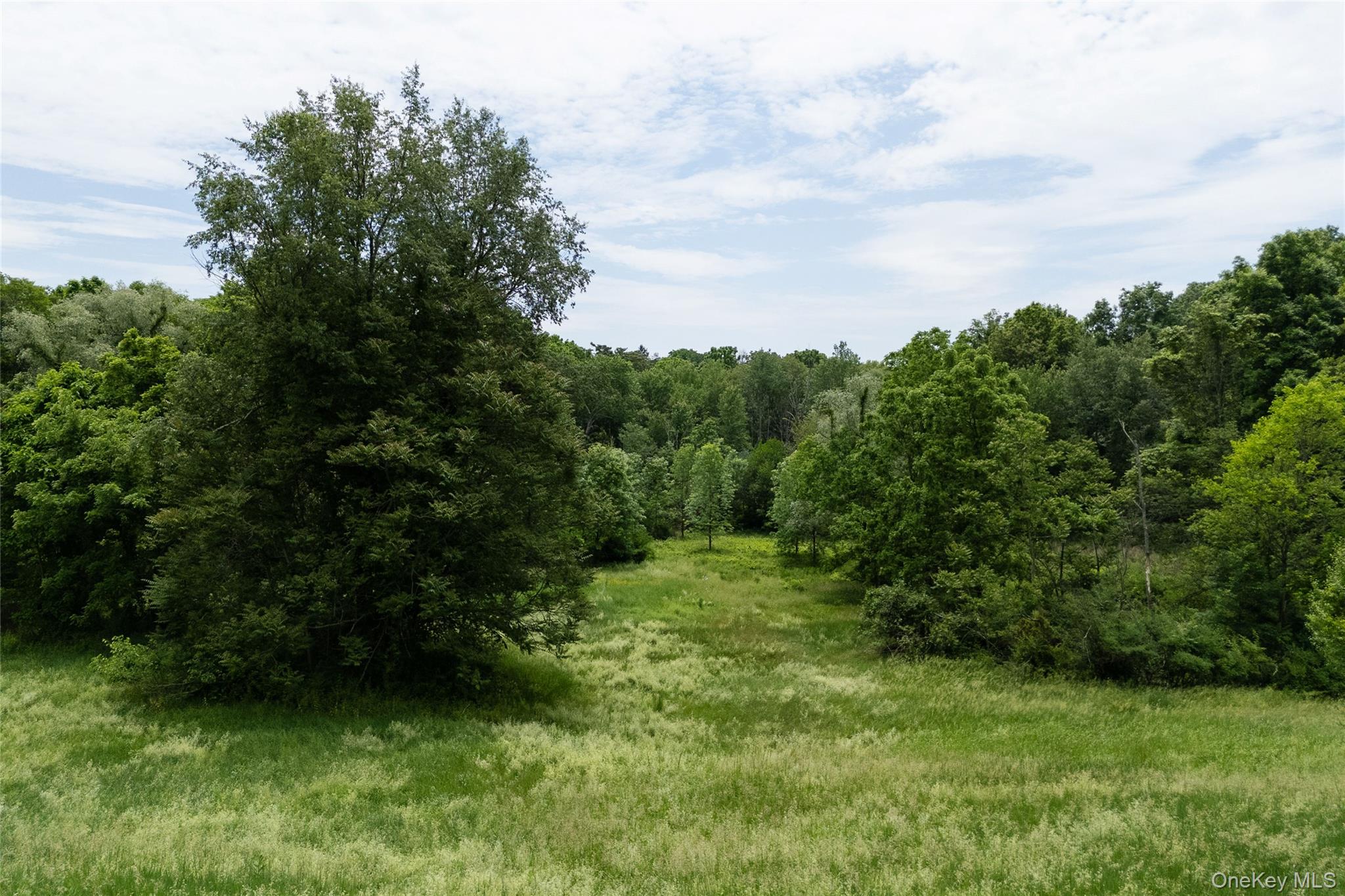 7115 Albany Post Road – For Sale photo 21