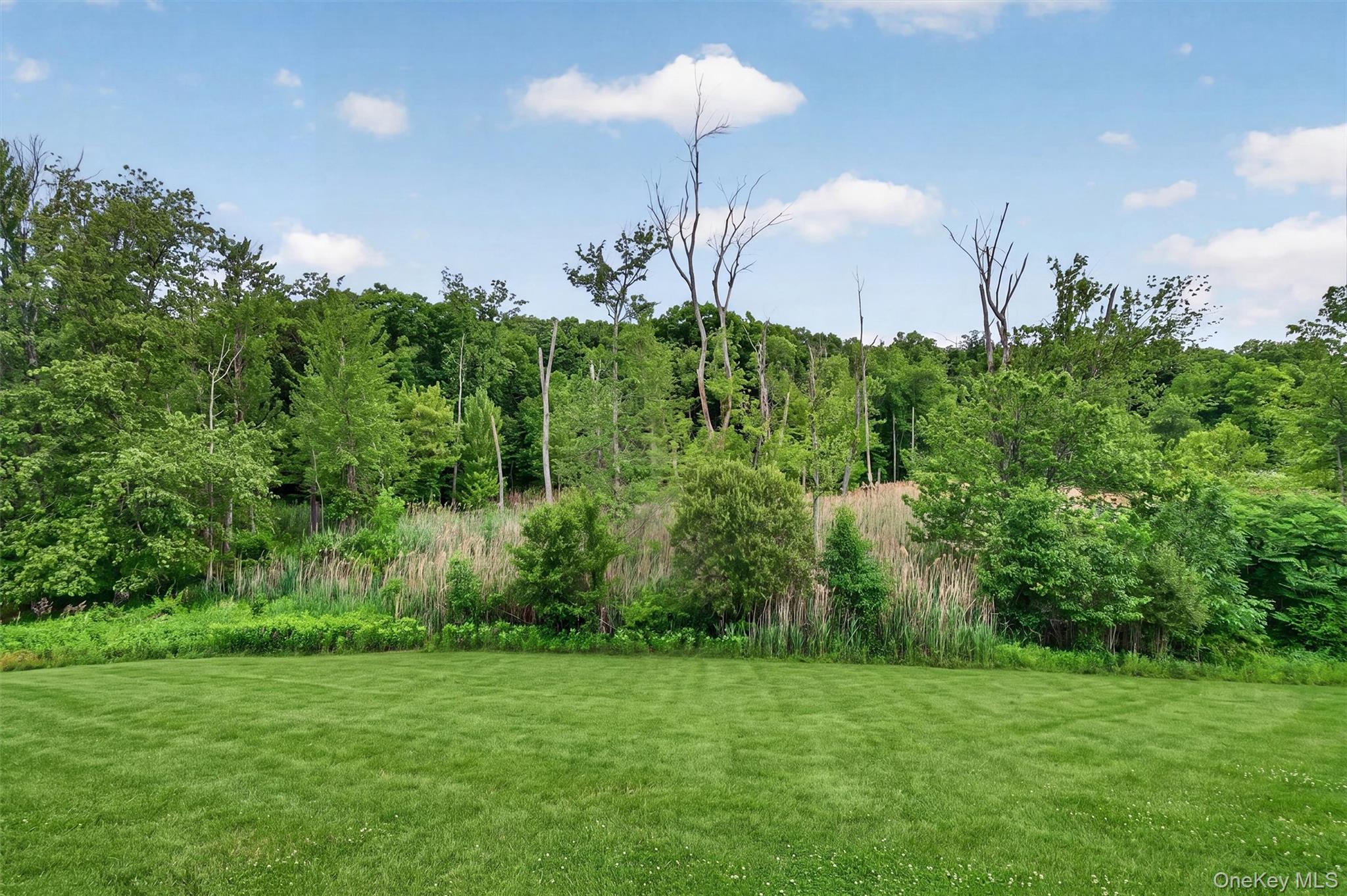 5 Oldwyck Crescent – For Sale photo 46