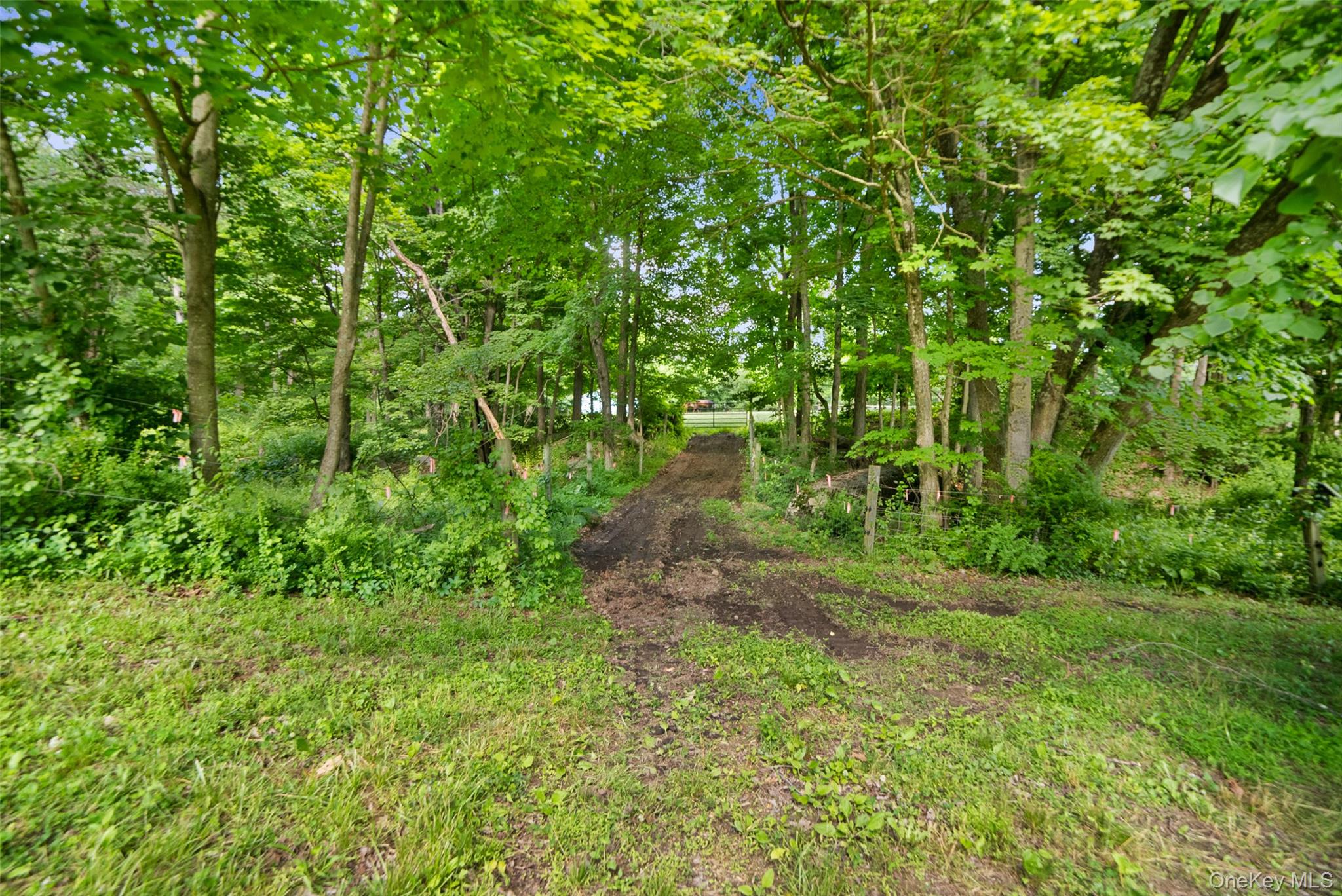 73 Lake Ellis Road – For Sale photo 37