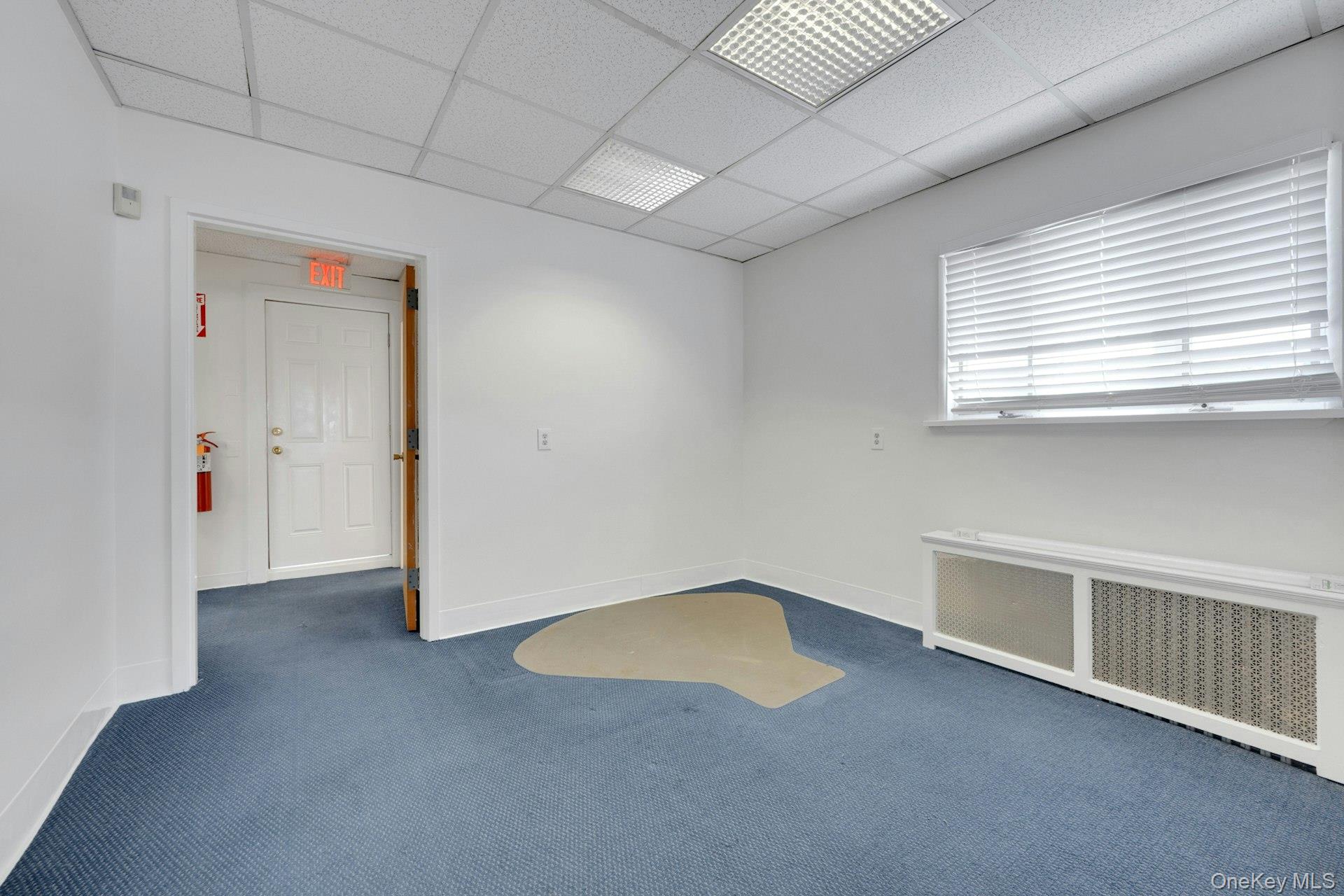 5 Montague Street – For Rent photo 5