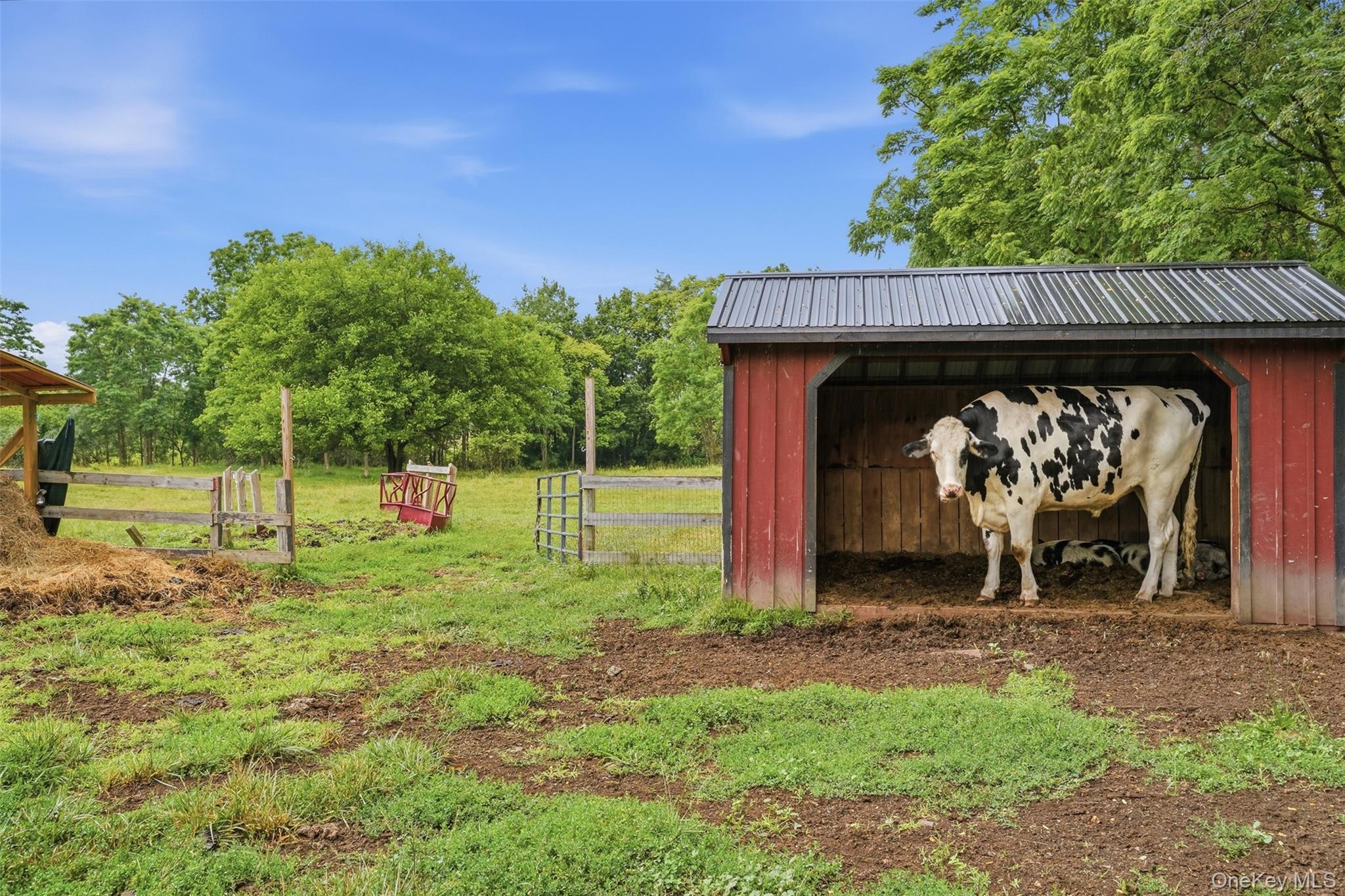 315 Bellvale Lakes Road – For Sale photo 44