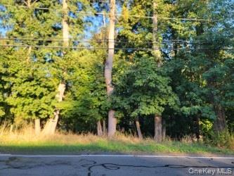 144 Old Haverstraw Road – For Sale photo 2