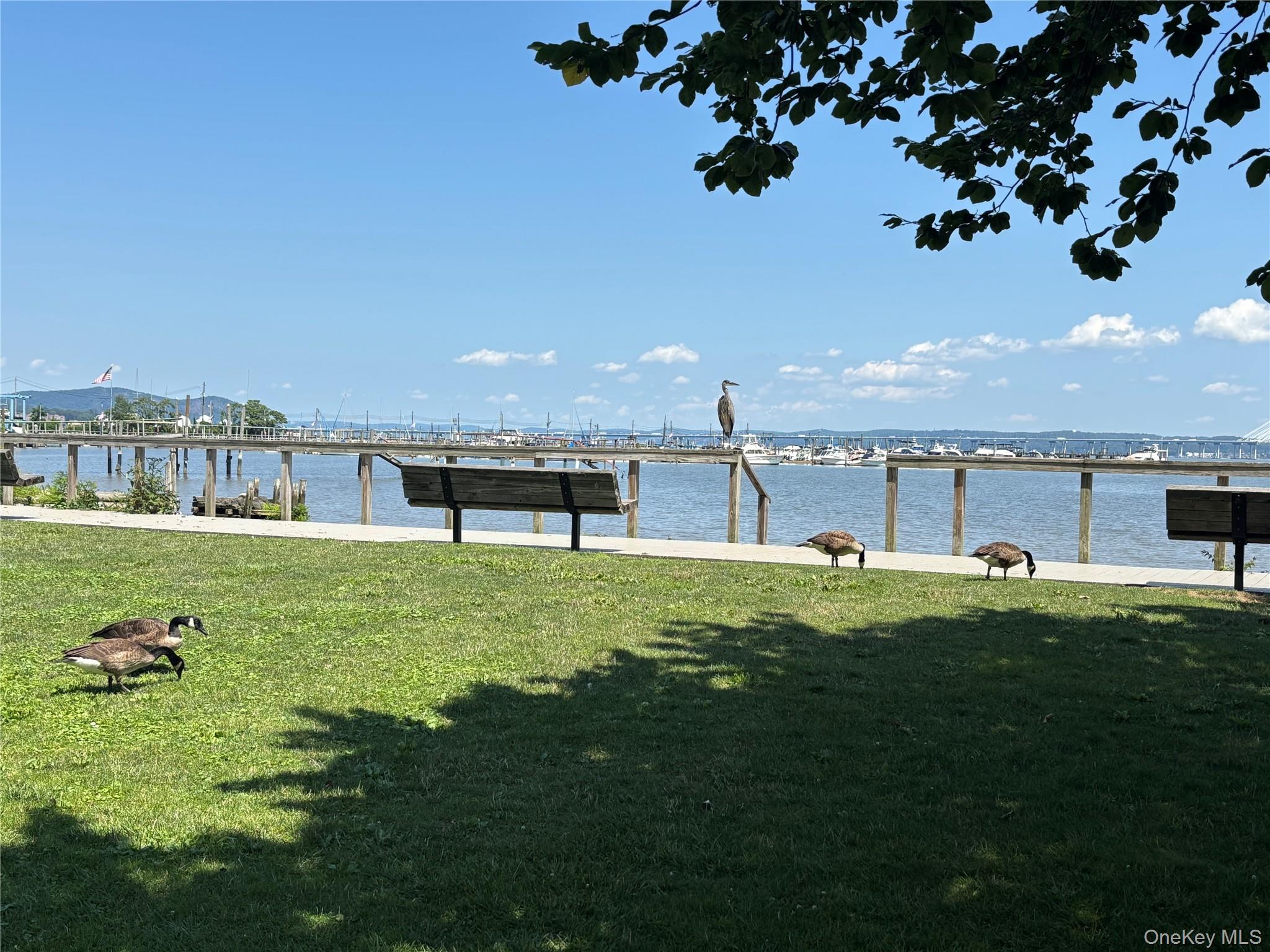 3 W Lawrence Park Drive, Unit 3 photo 13