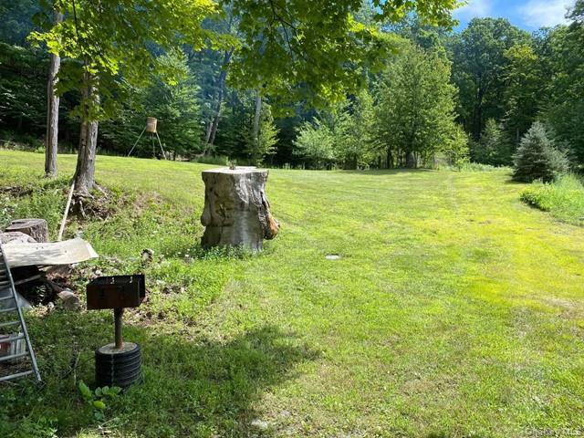 Mile High Road – For Sale photo 5