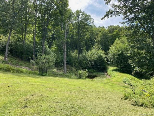 Mile High Road – For Sale