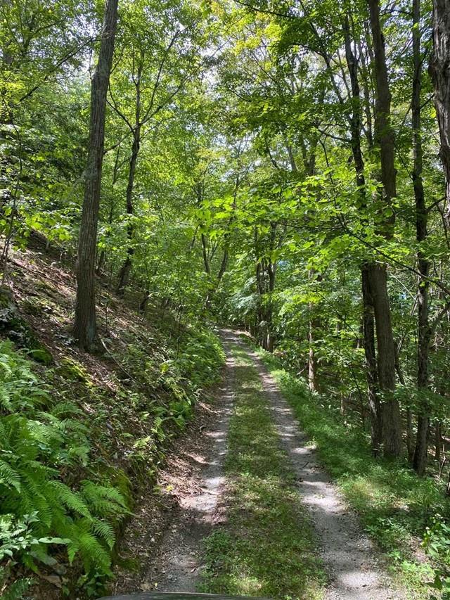 Mile High Road – For Sale photo 3