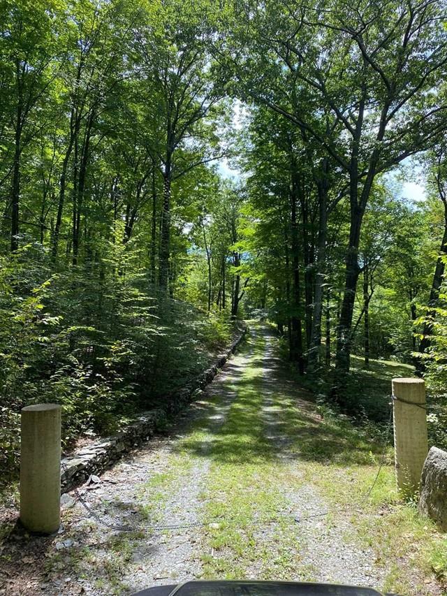 Mile High Road – For Sale photo 4