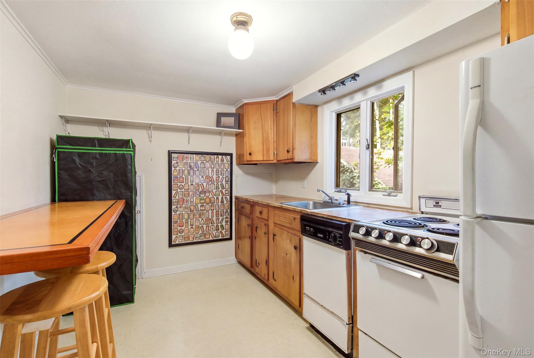 35 Ward Avenue – For Sale photo 18