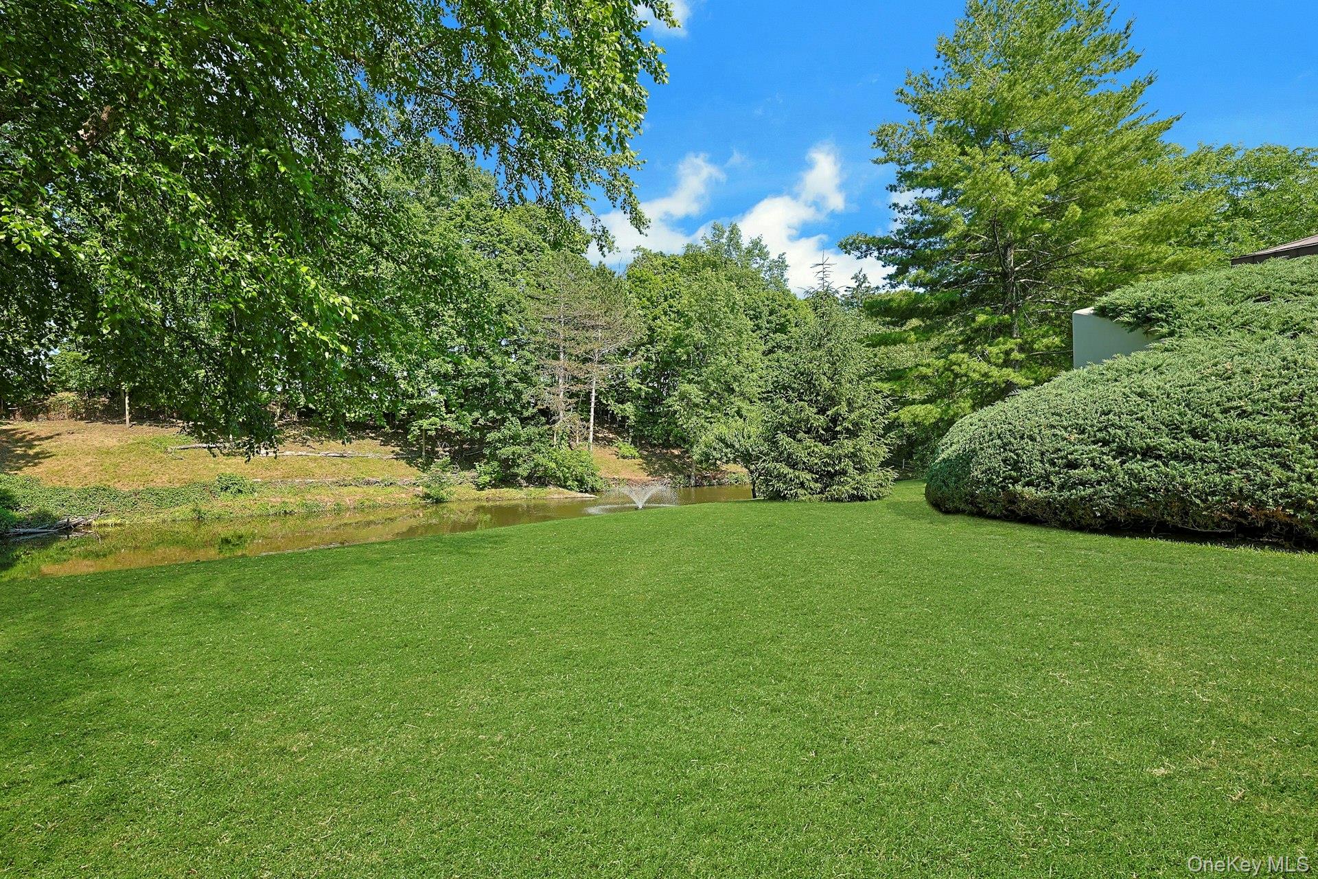 41 Murray Hill Road – For Sale photo 35