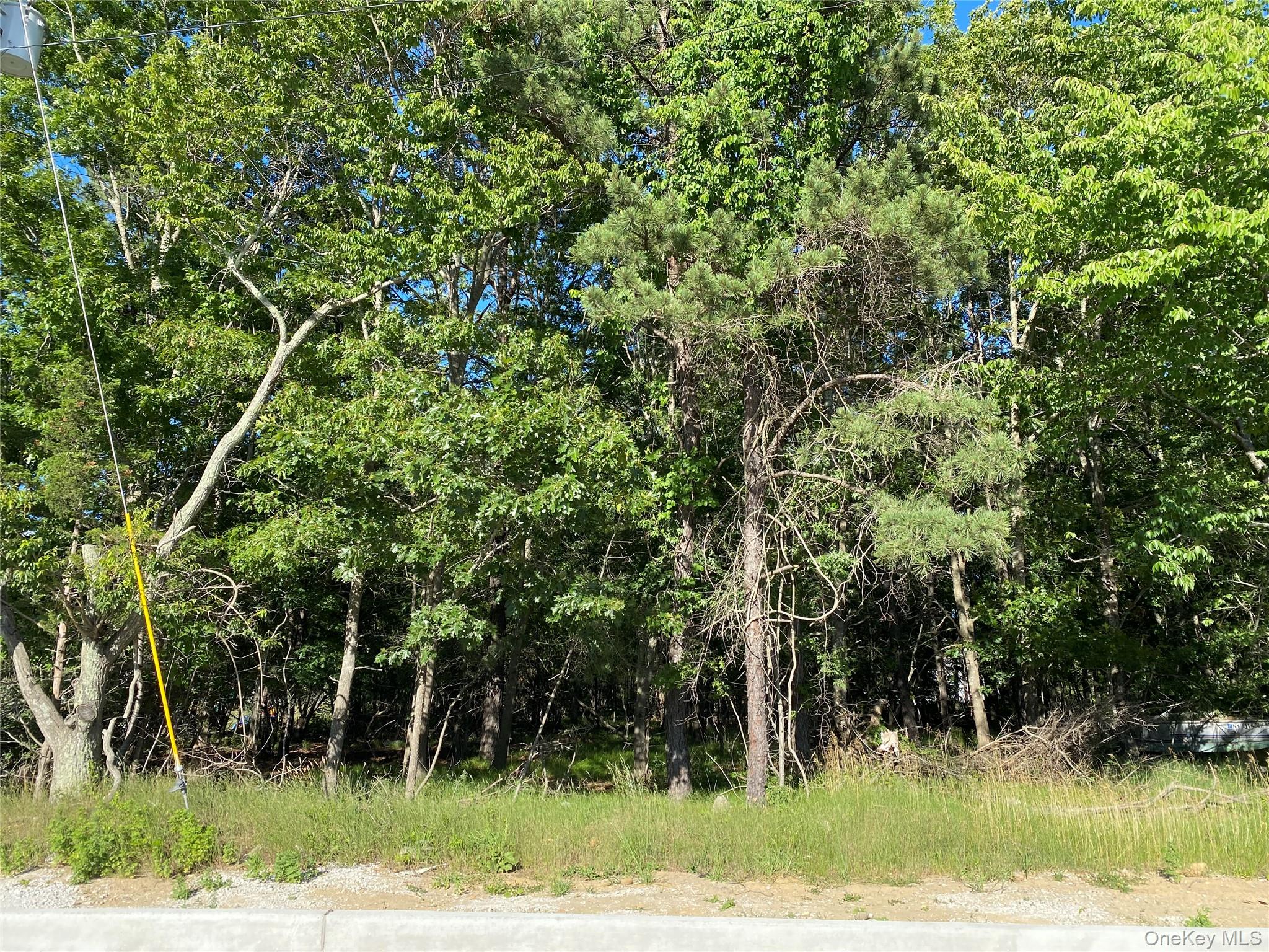 Pleasant Avenue – For Sale