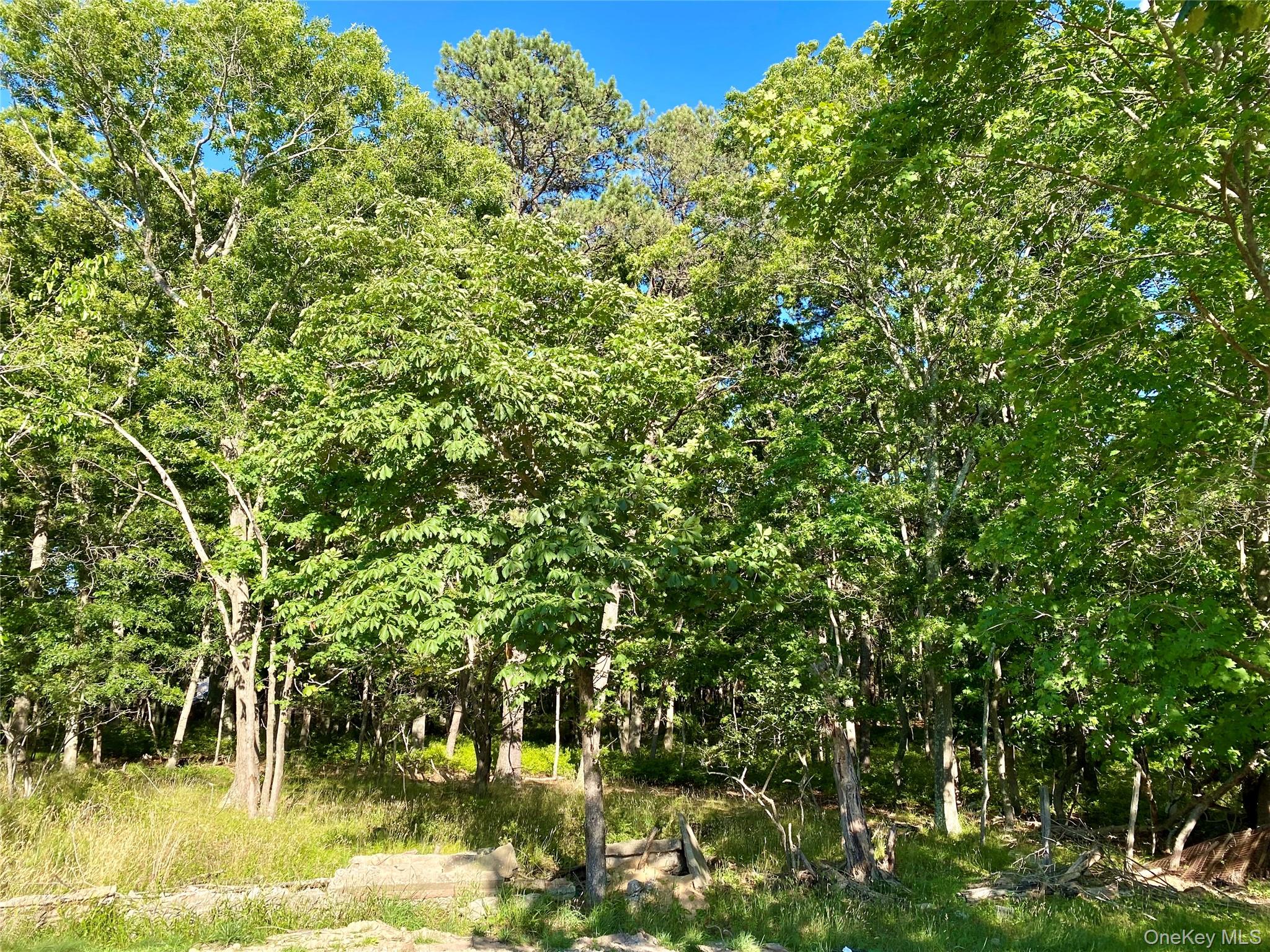 Granny Road – For Sale