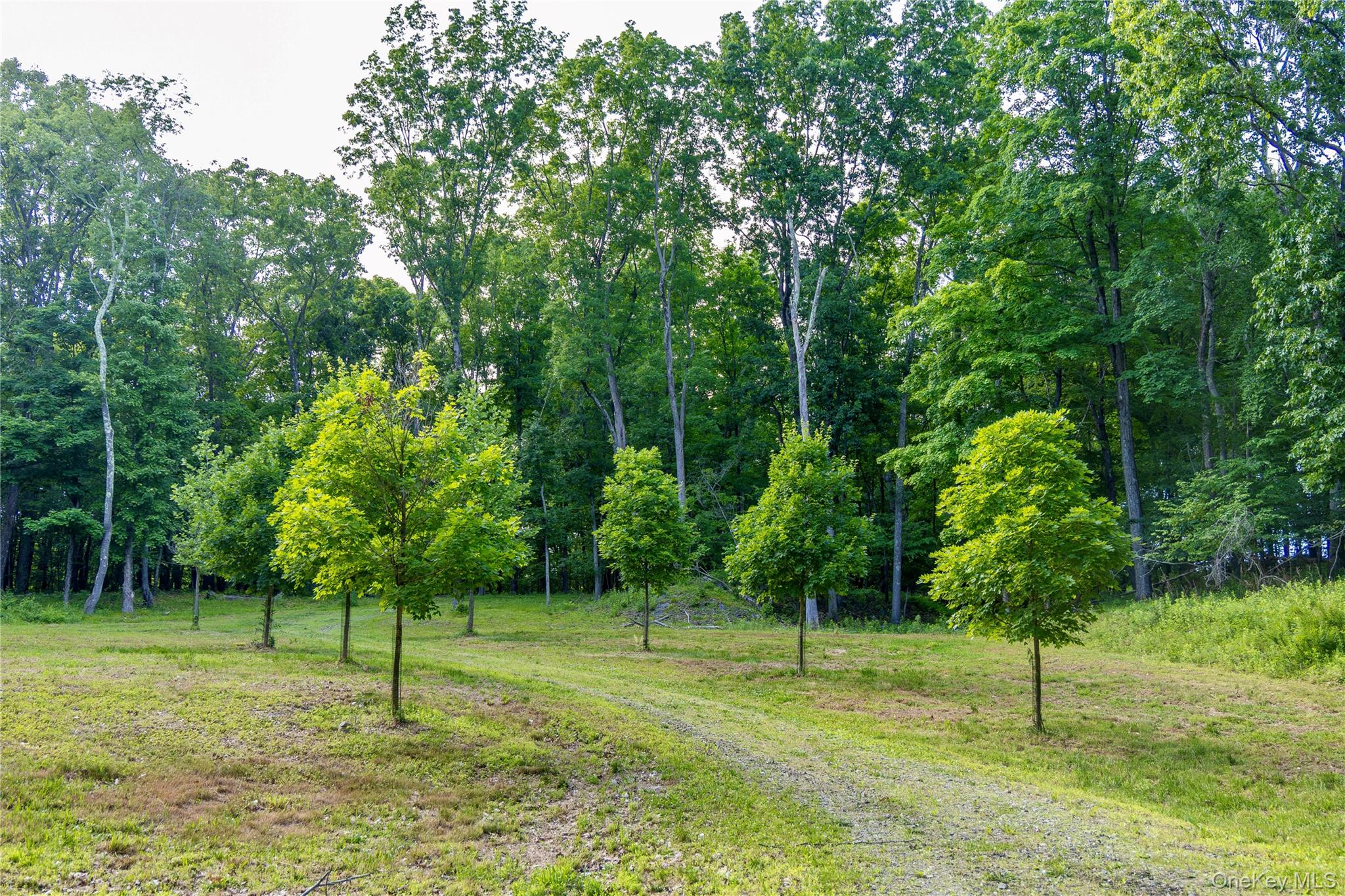 Mallory Road – For Sale photo 3