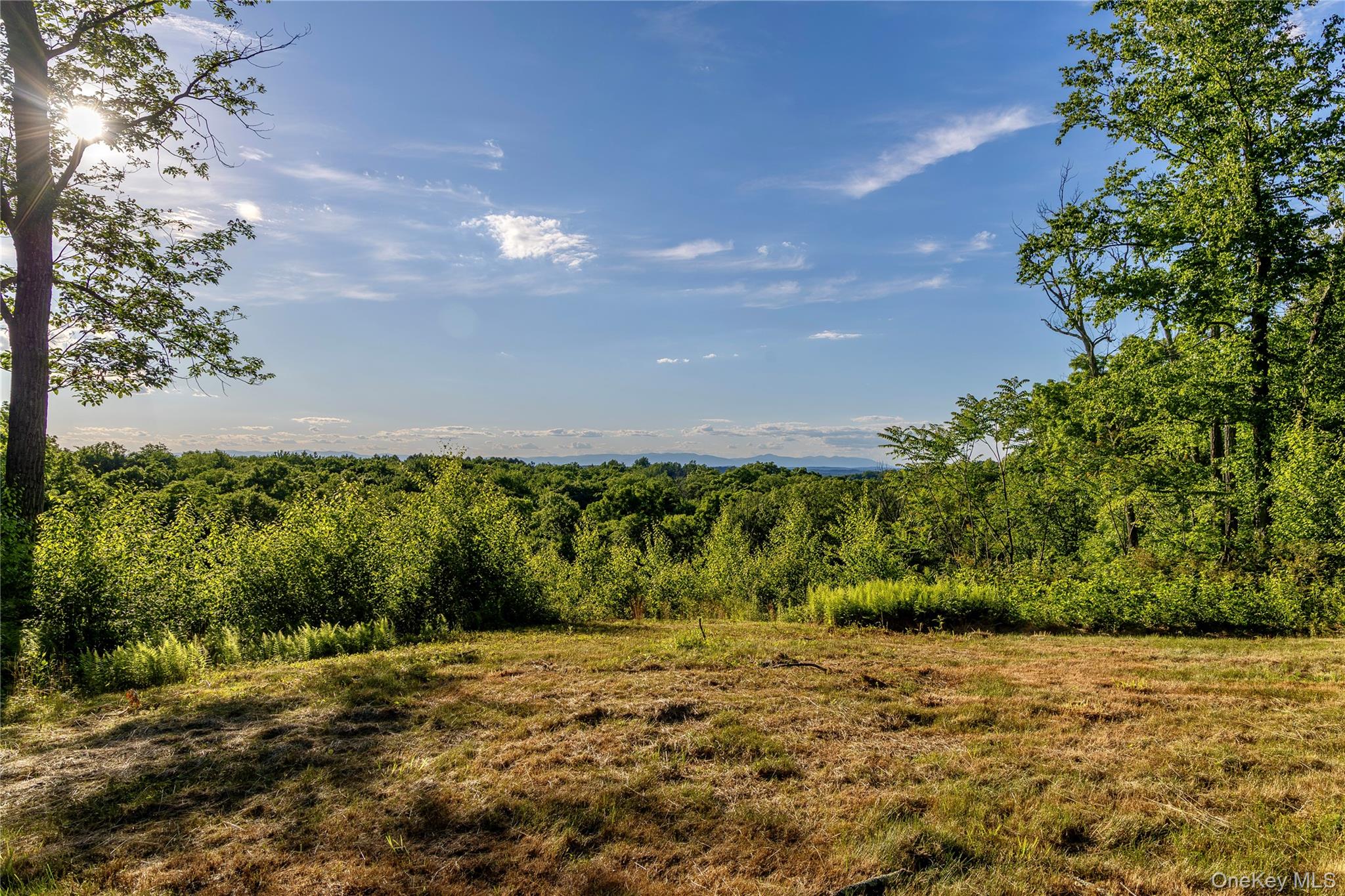 Mallory Road – For Sale photo 12