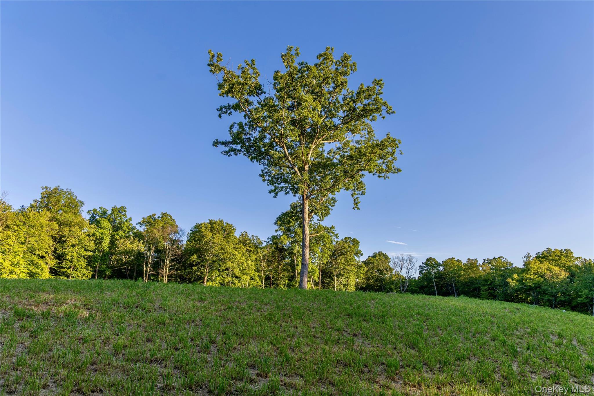 Mallory Road – For Sale photo 4