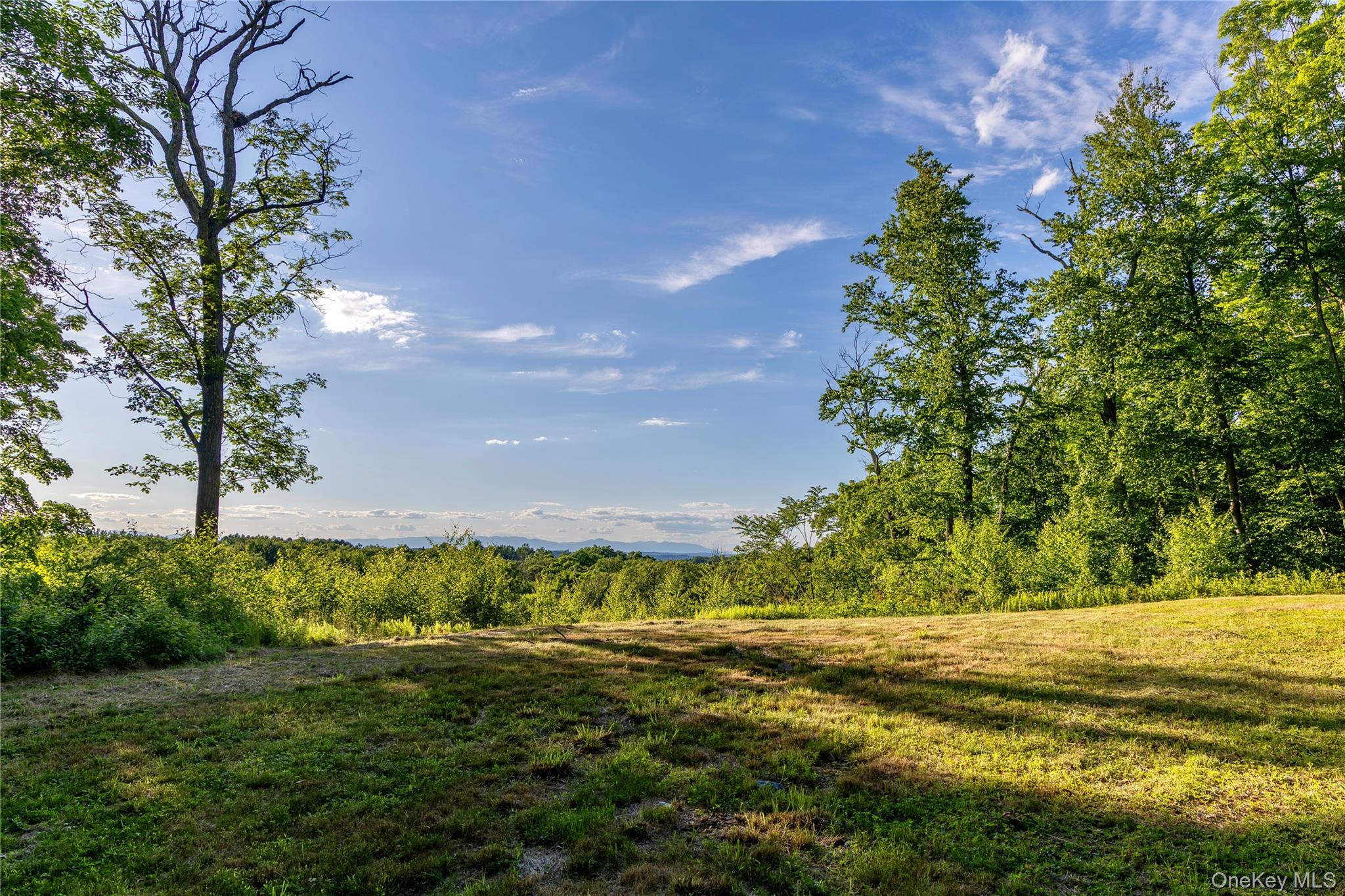 Mallory Road – For Sale photo 7