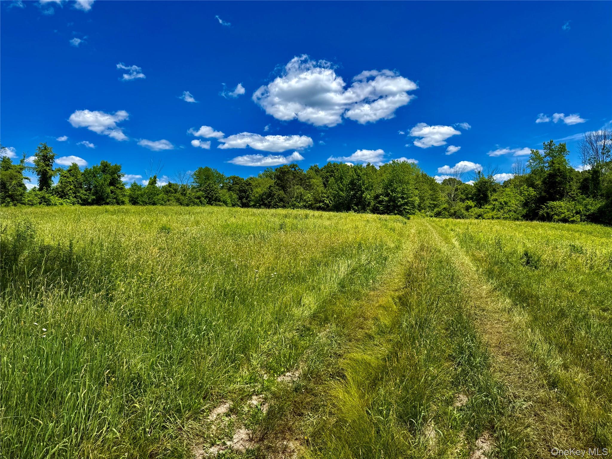 513 Rossway Road – For Sale photo 15