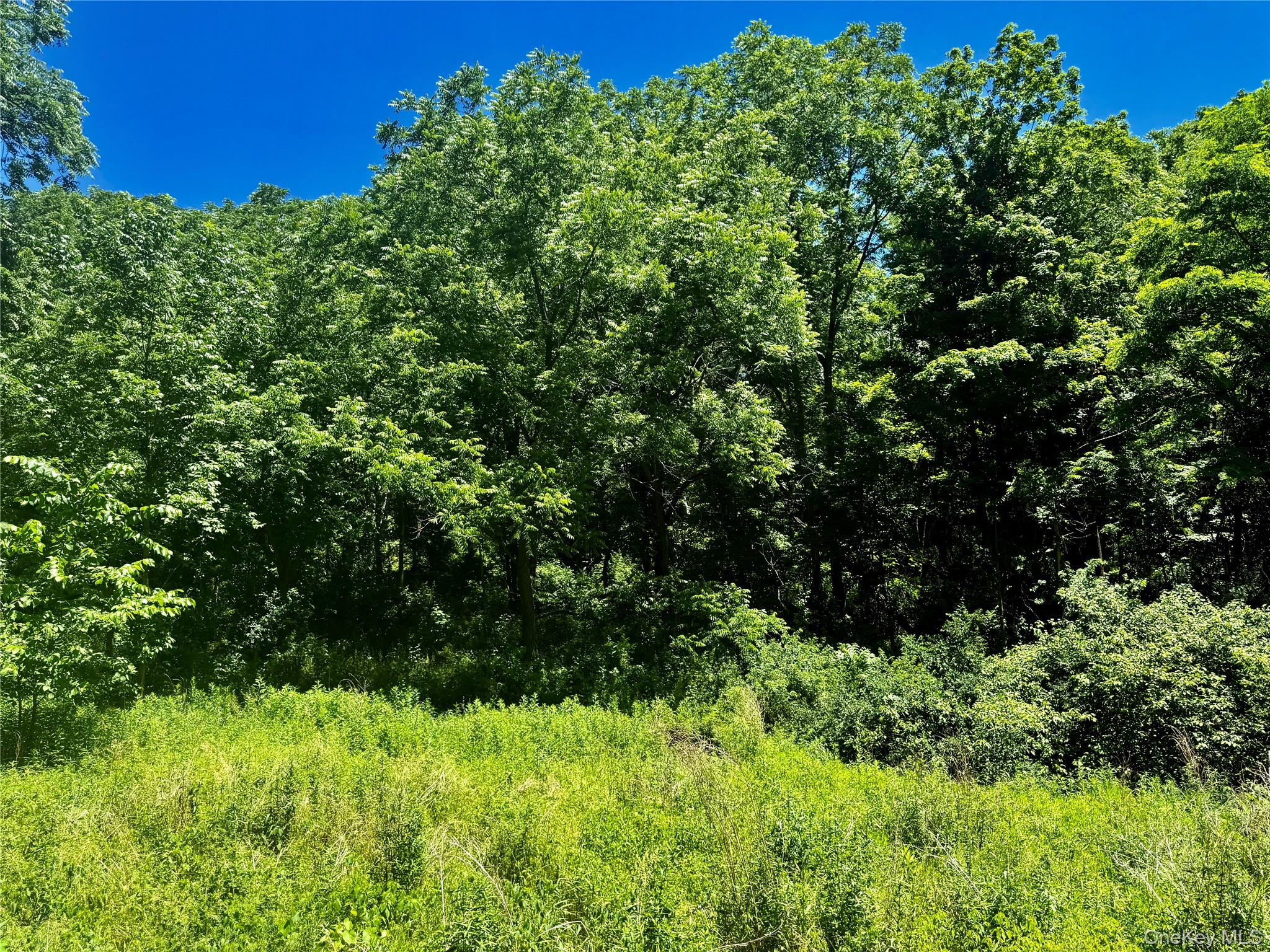 513 Rossway Road – For Sale photo 4