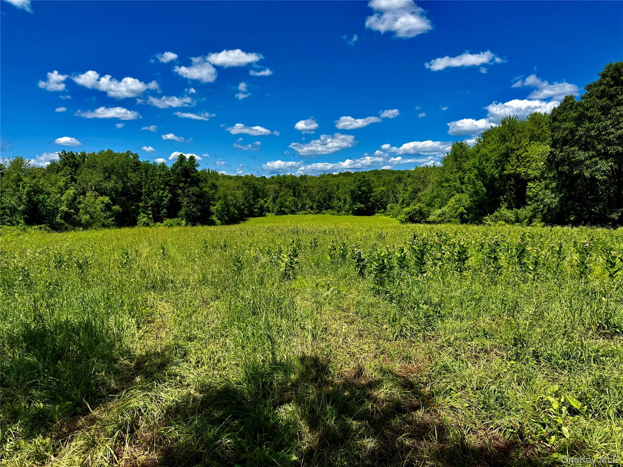 513 Rossway Road – For Sale photo 12