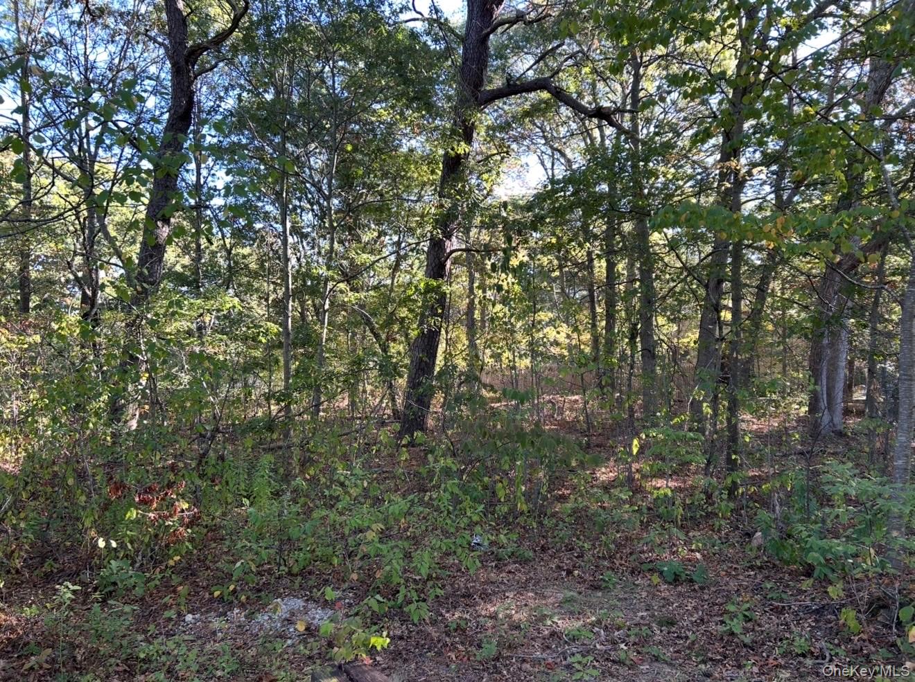 Meade Avenue – For Sale