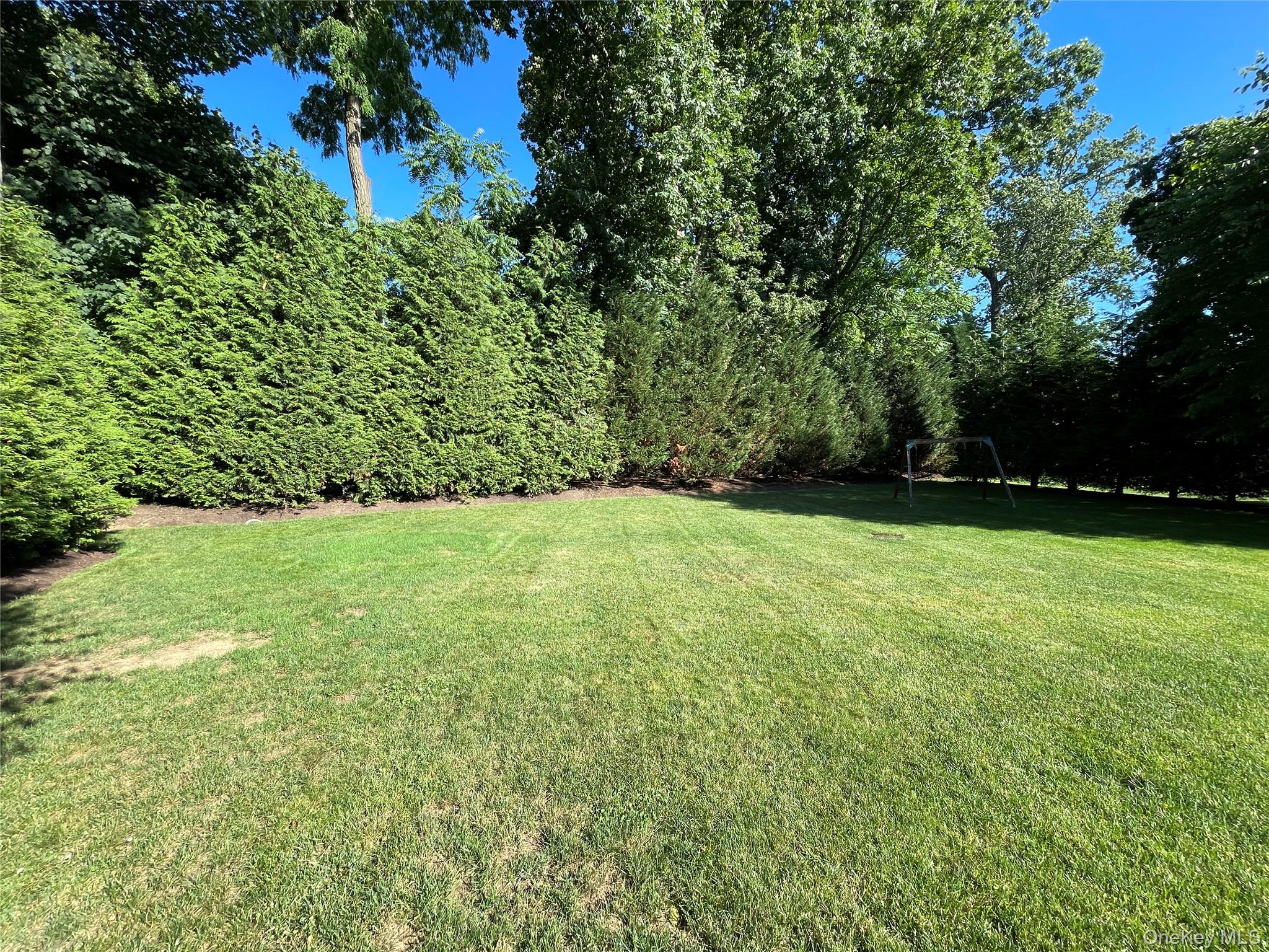 1019 Grove Street – For Rent photo 17