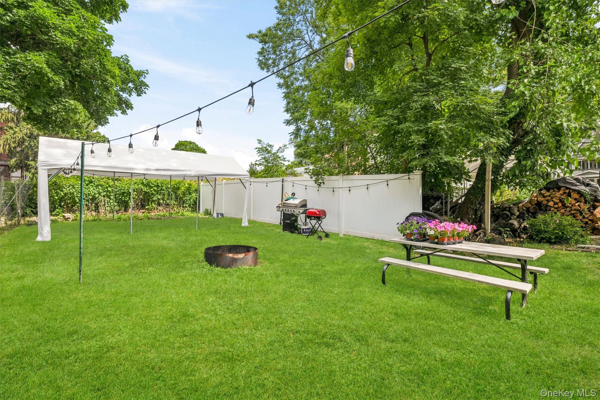 17 Carroll Street – For Sale photo 24