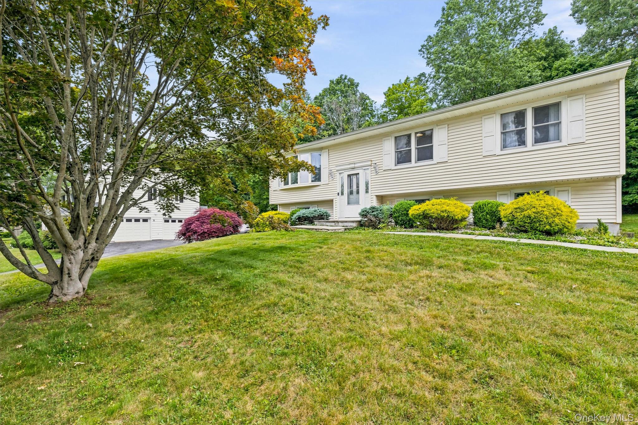 53 Everett Road – For Sale photo 4