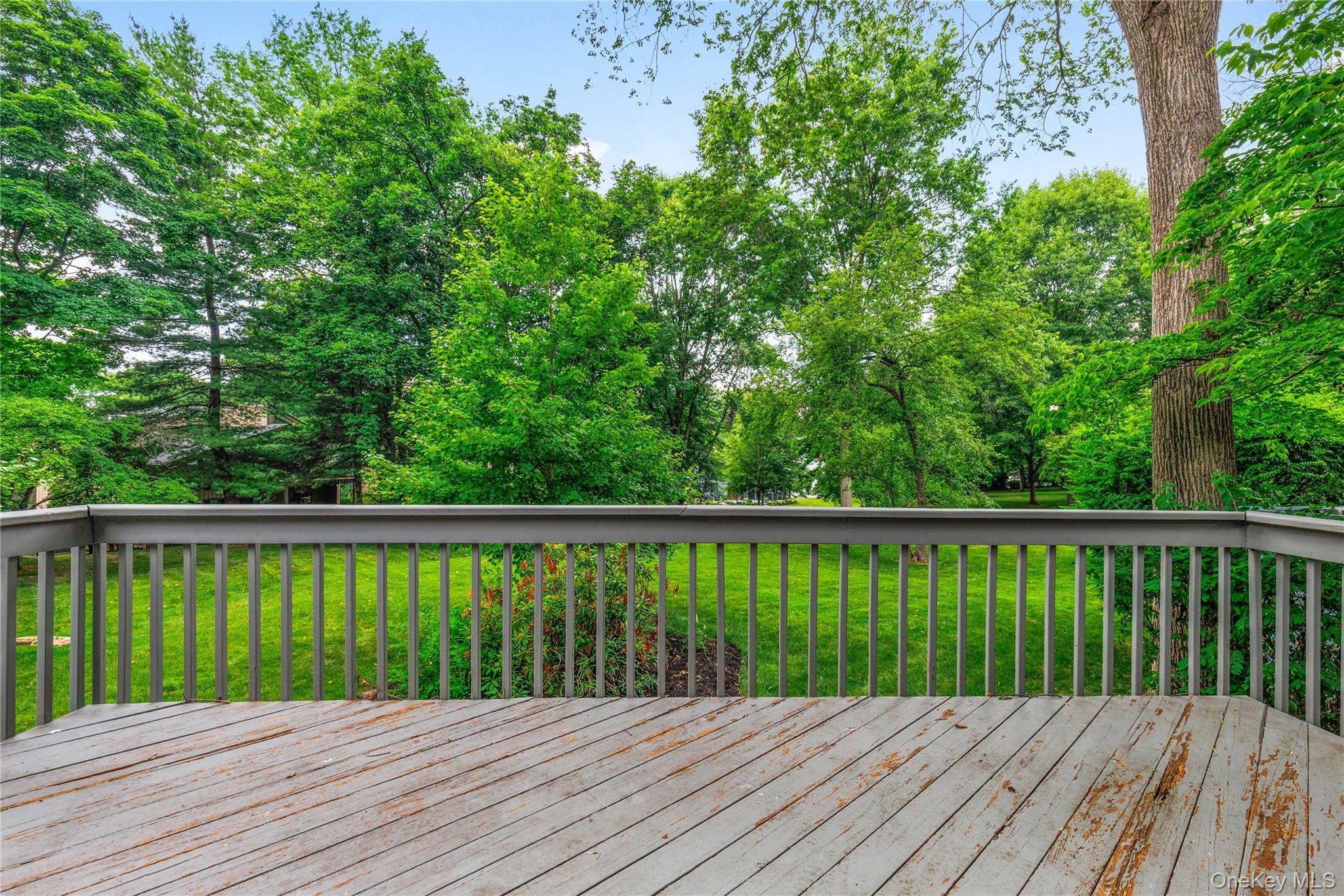 52 Talcott Road – For Rent photo 27