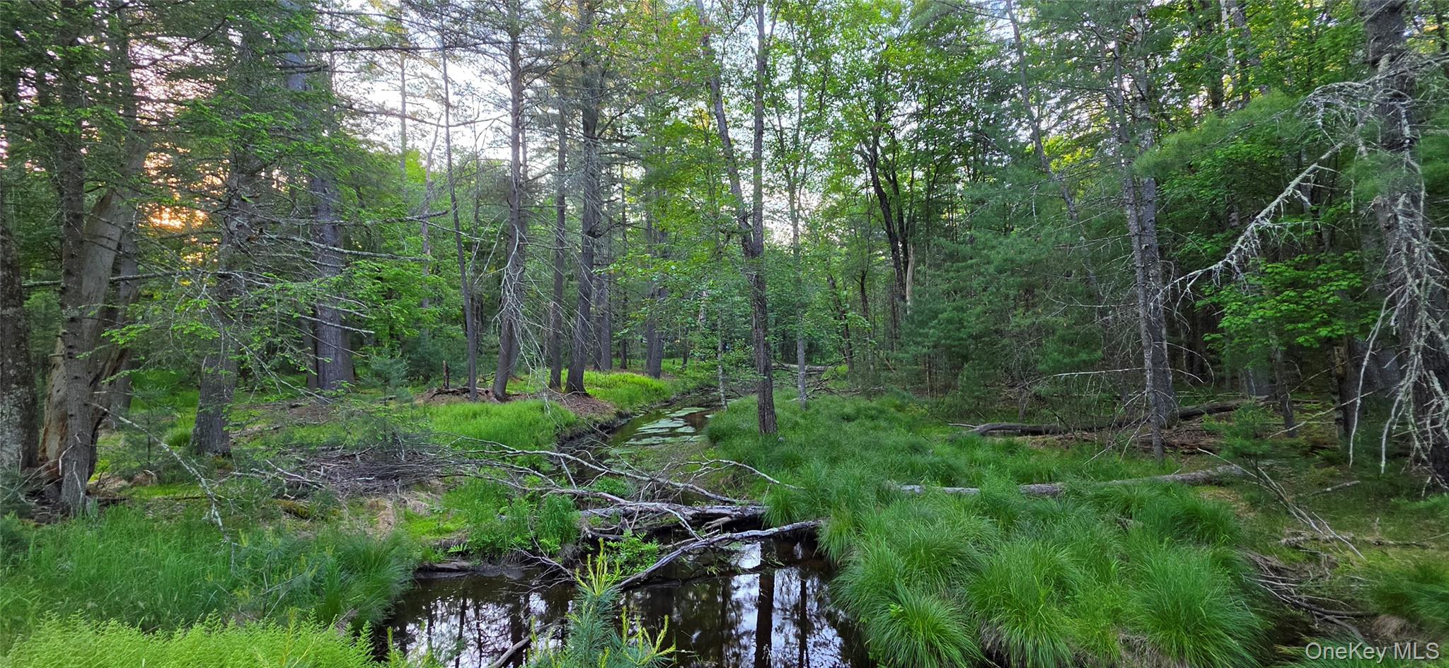Lot 3.3 Old Tacy Road – For Sale photo 7