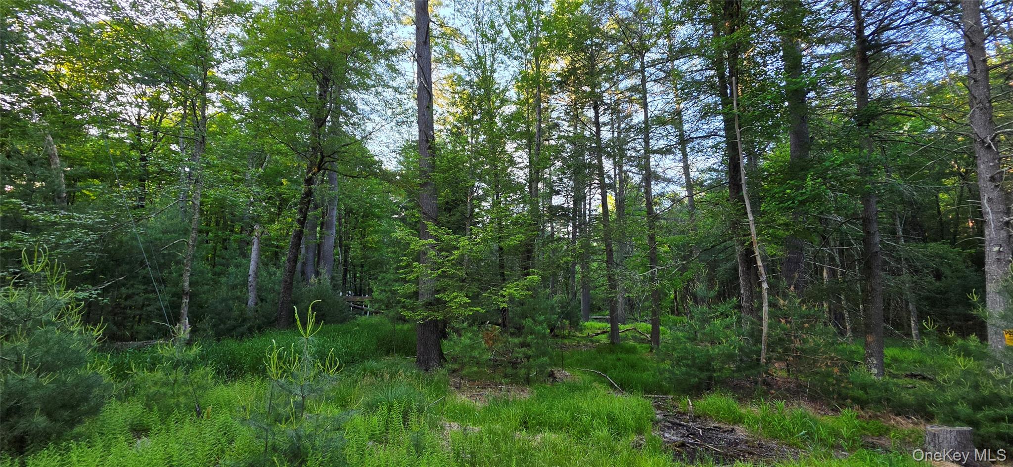 Lot 3.3 Old Tacy Road – For Sale photo 4