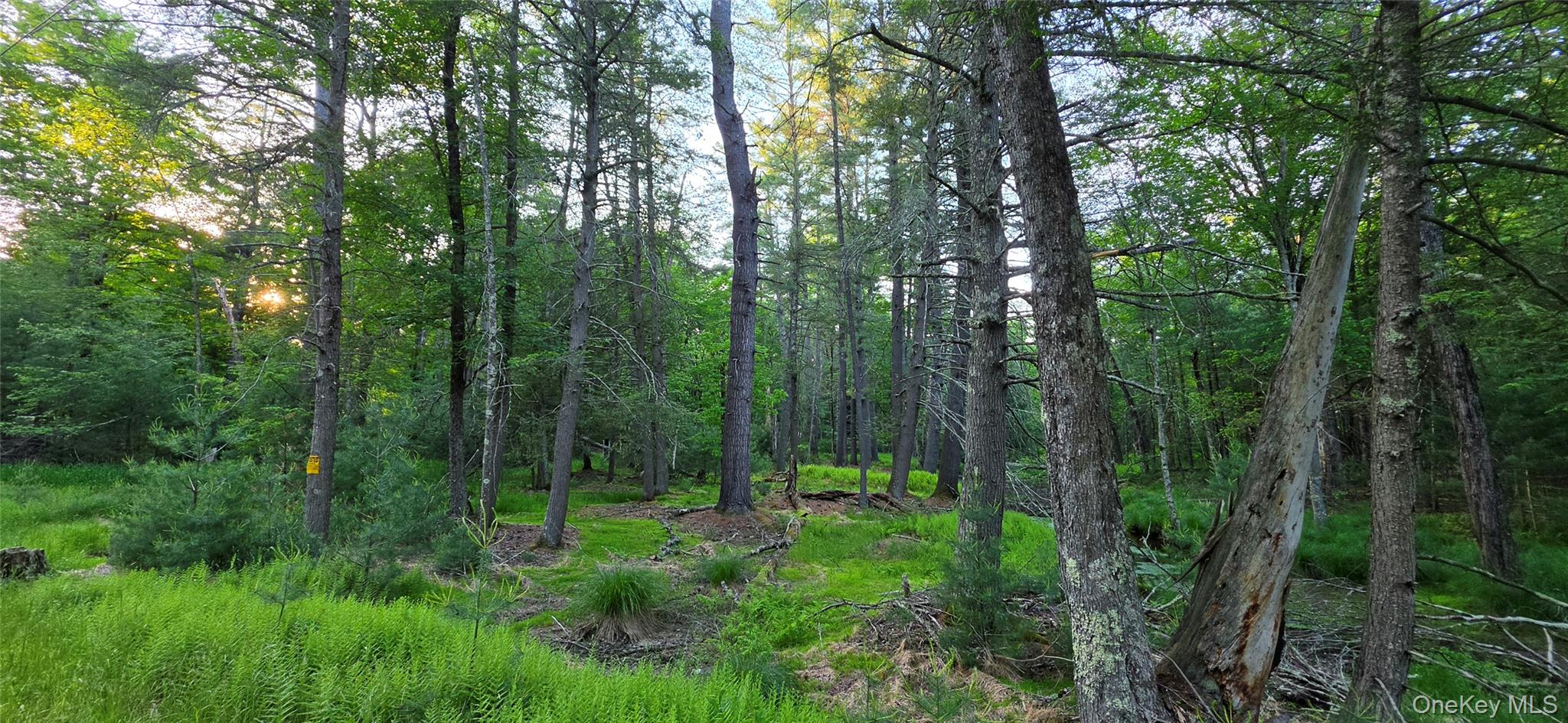Lot 3.3 Old Tacy Road – For Sale photo 9