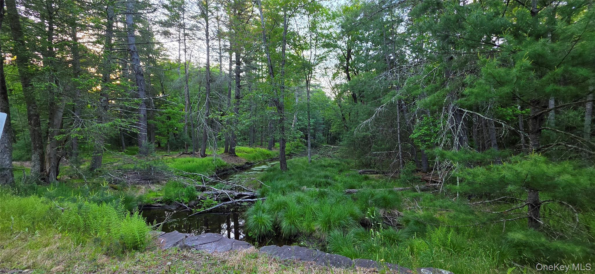 Lot 3.3 Old Tacy Road – For Sale photo 8