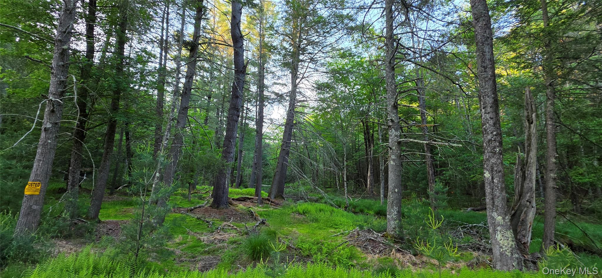 Lot 3.3 Old Tacy Road – For Sale photo 5