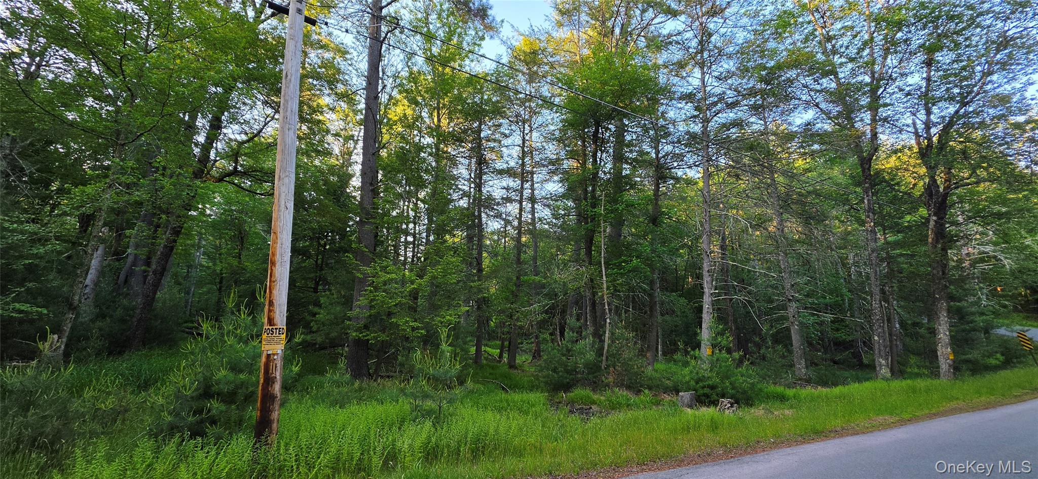 Lot 3.3 Old Tacy Road – For Sale photo 2