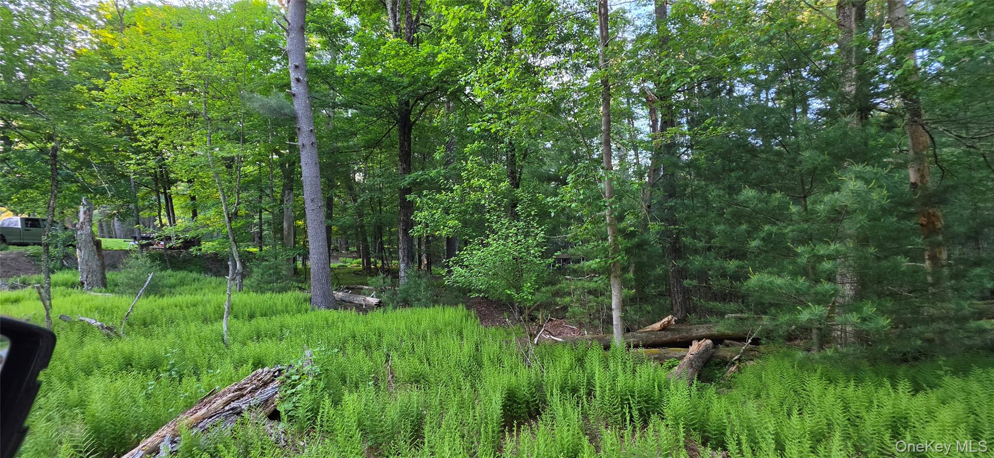 Lot 3.3 Old Tacy Road – For Sale photo 10