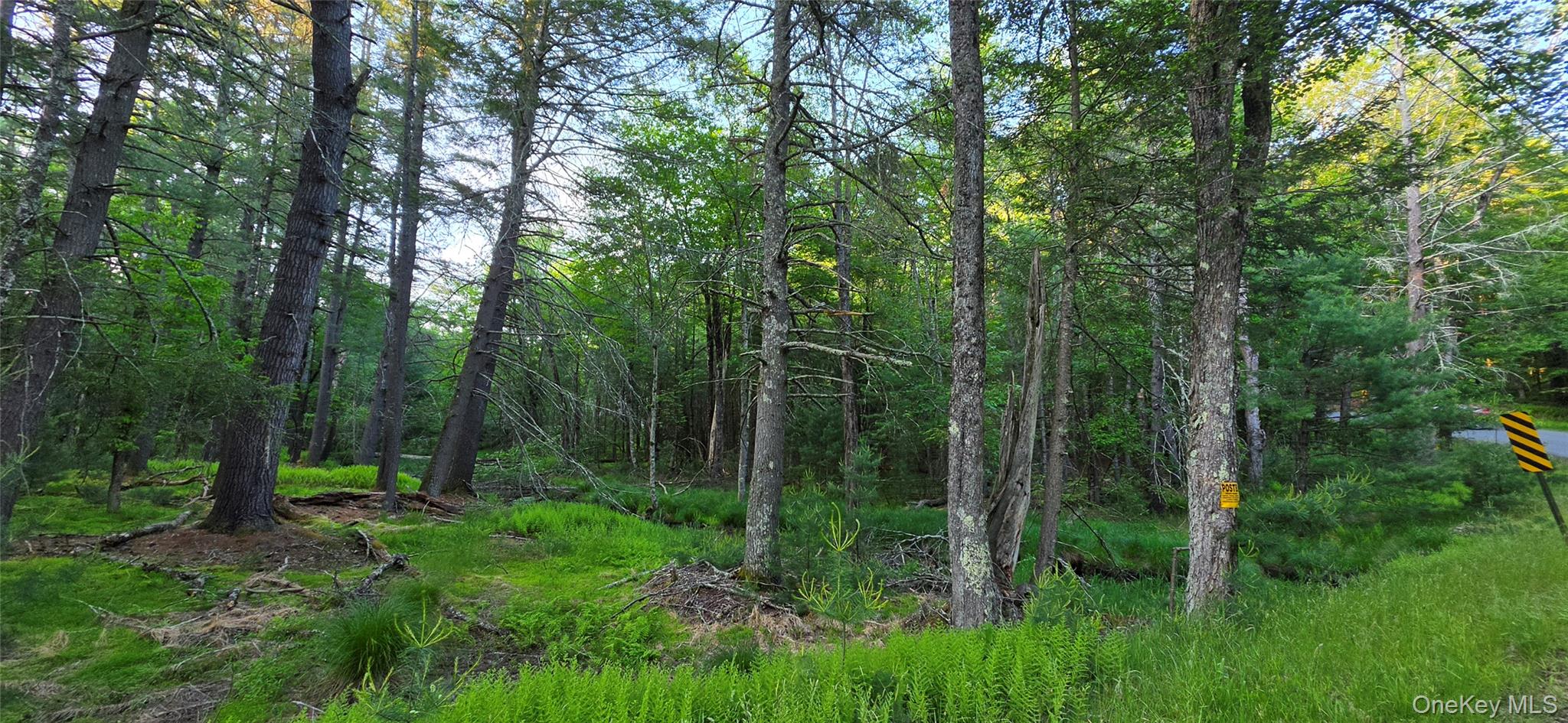 Lot 3.3 Old Tacy Road – For Sale photo 6