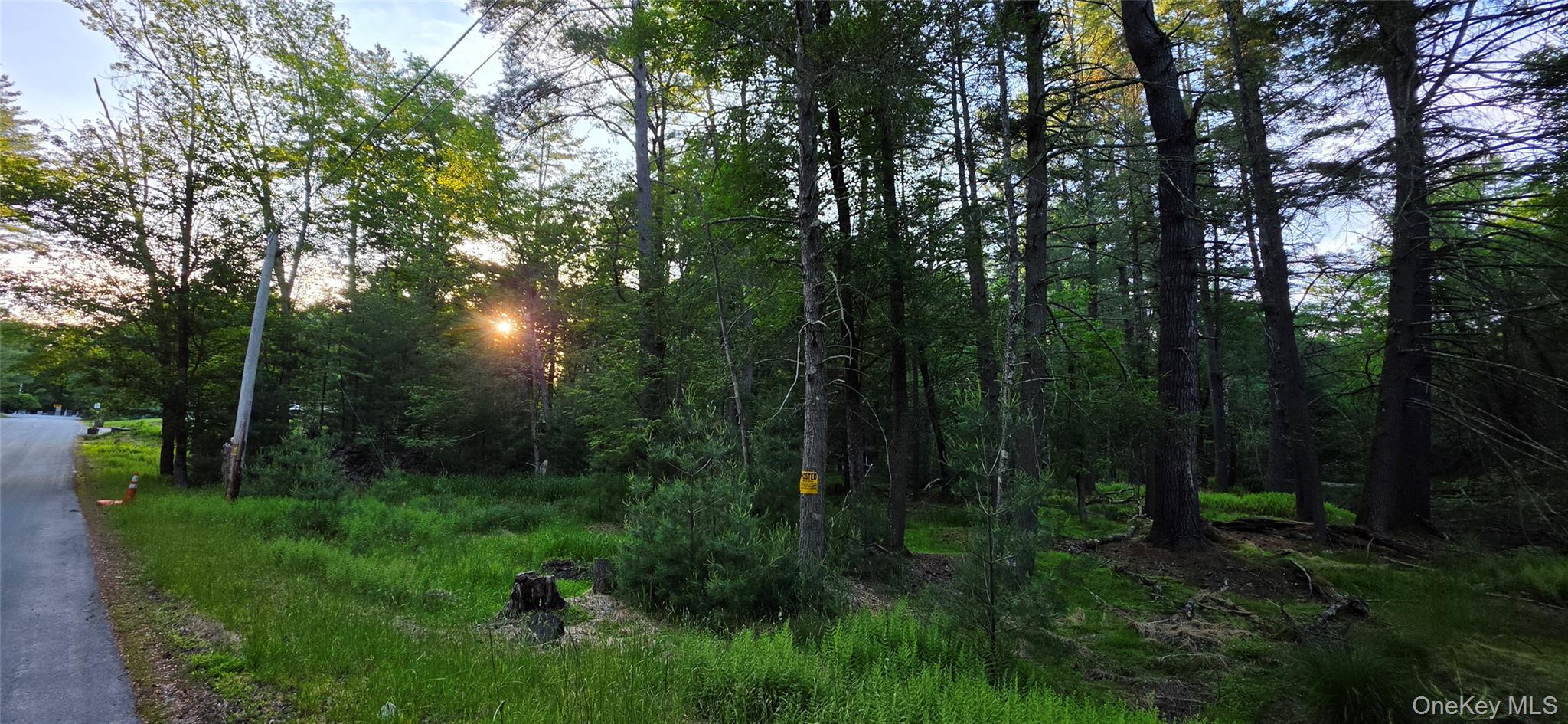 Lot 3.3 Old Tacy Road – For Sale photo 3