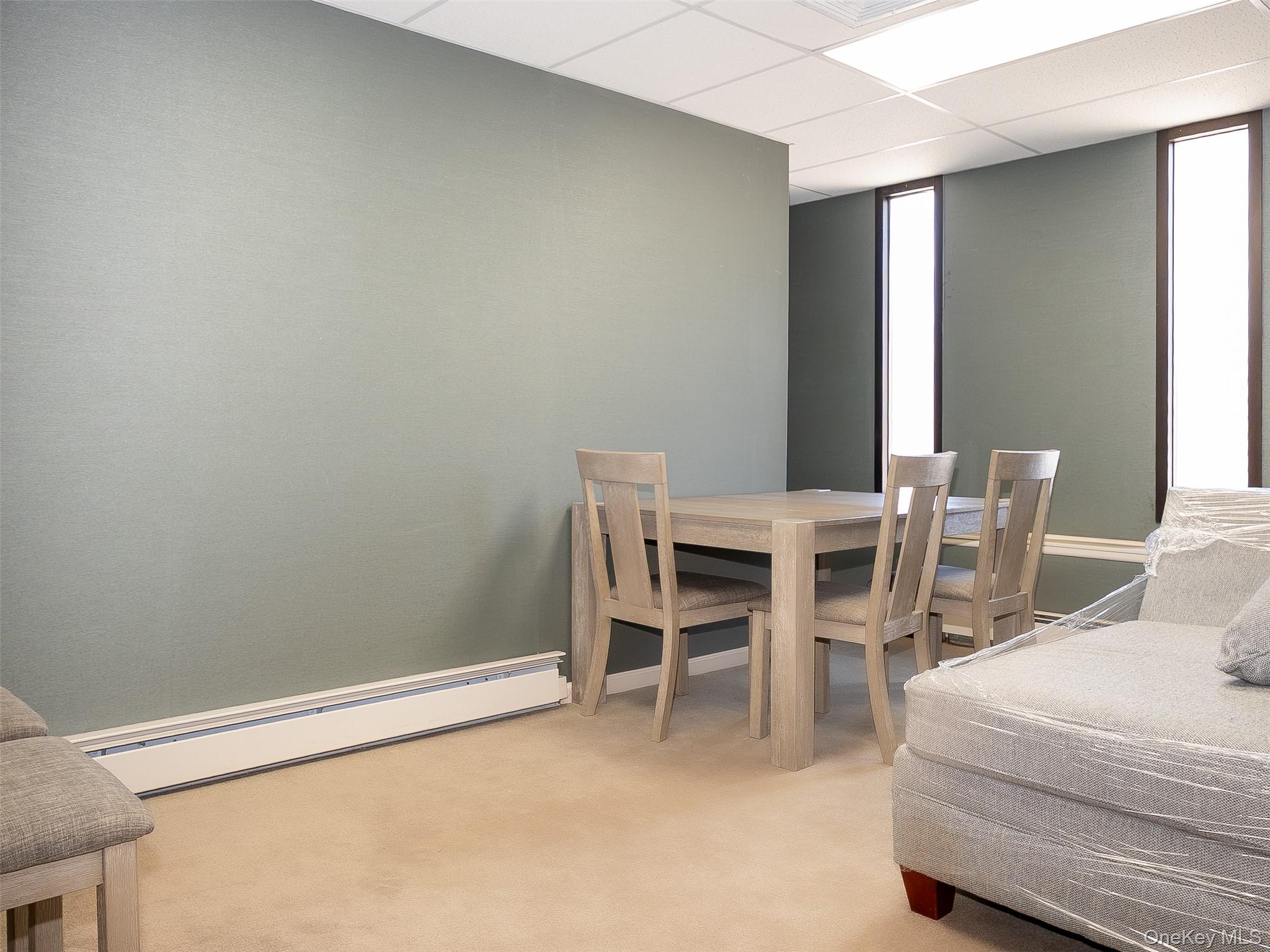 215 Willis Avenue, Unit 1st Fl photo 9