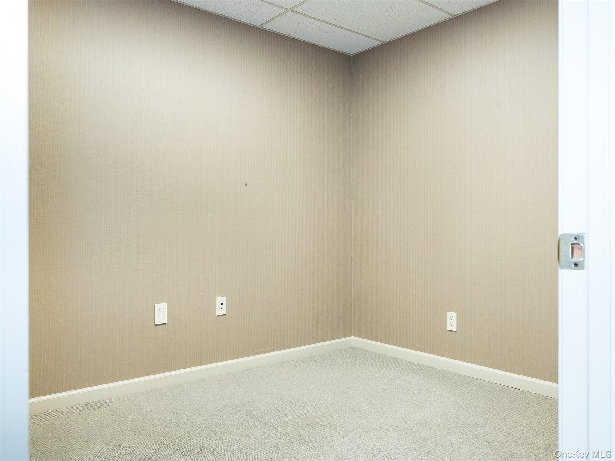215 Willis Avenue, Unit 1st Fl photo 11