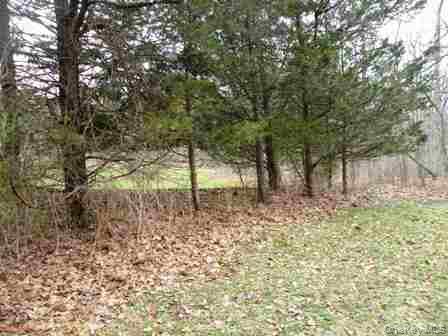 618 Bean River Road – For Sale photo 20