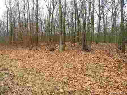 618 Bean River Road – For Sale photo 3