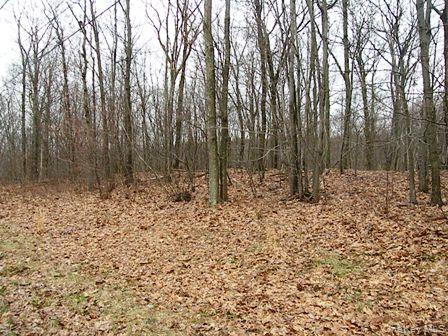 618 Bean River Road – For Sale photo 26