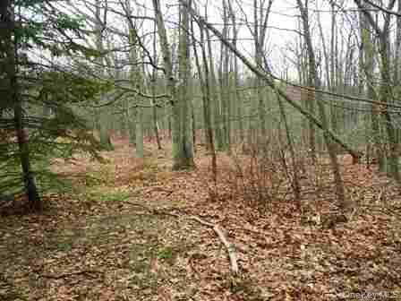 618 Bean River Road – For Sale photo 21